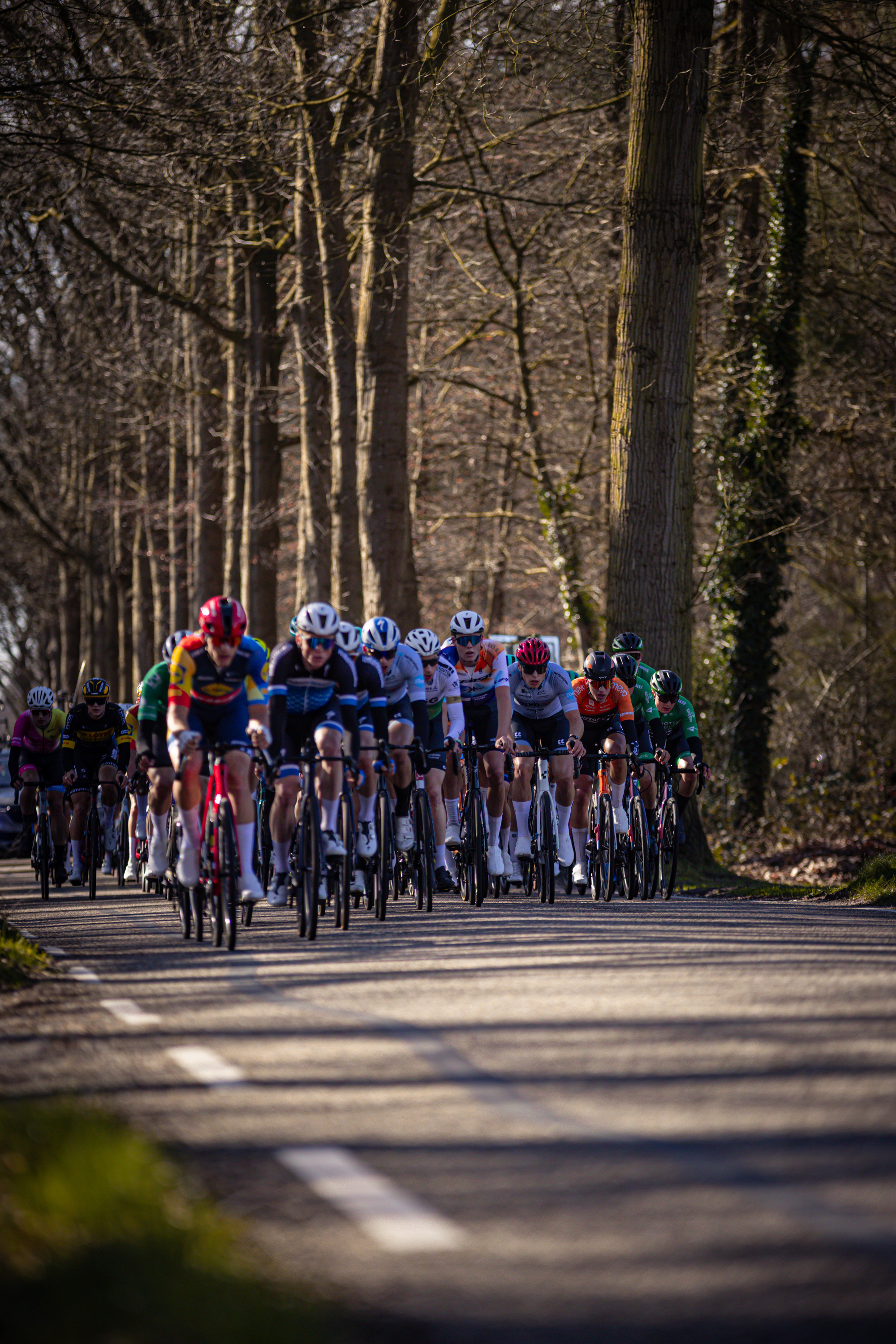 A group of cyclists are racing on a road, with the last cyclist wearing a shirt that says Ster van Zwolle.