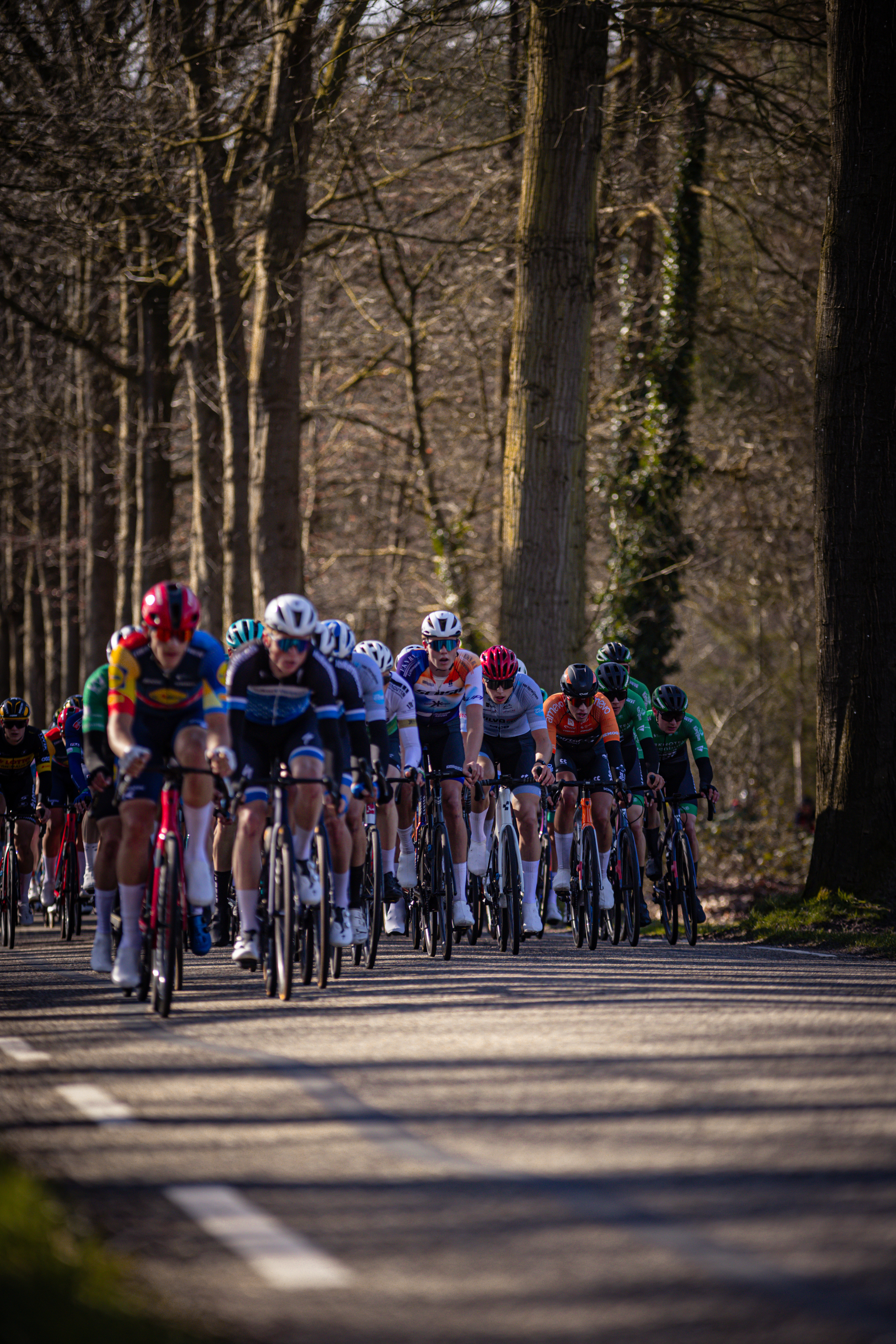 A group of cyclists race on a road in Ster van Zwolle.