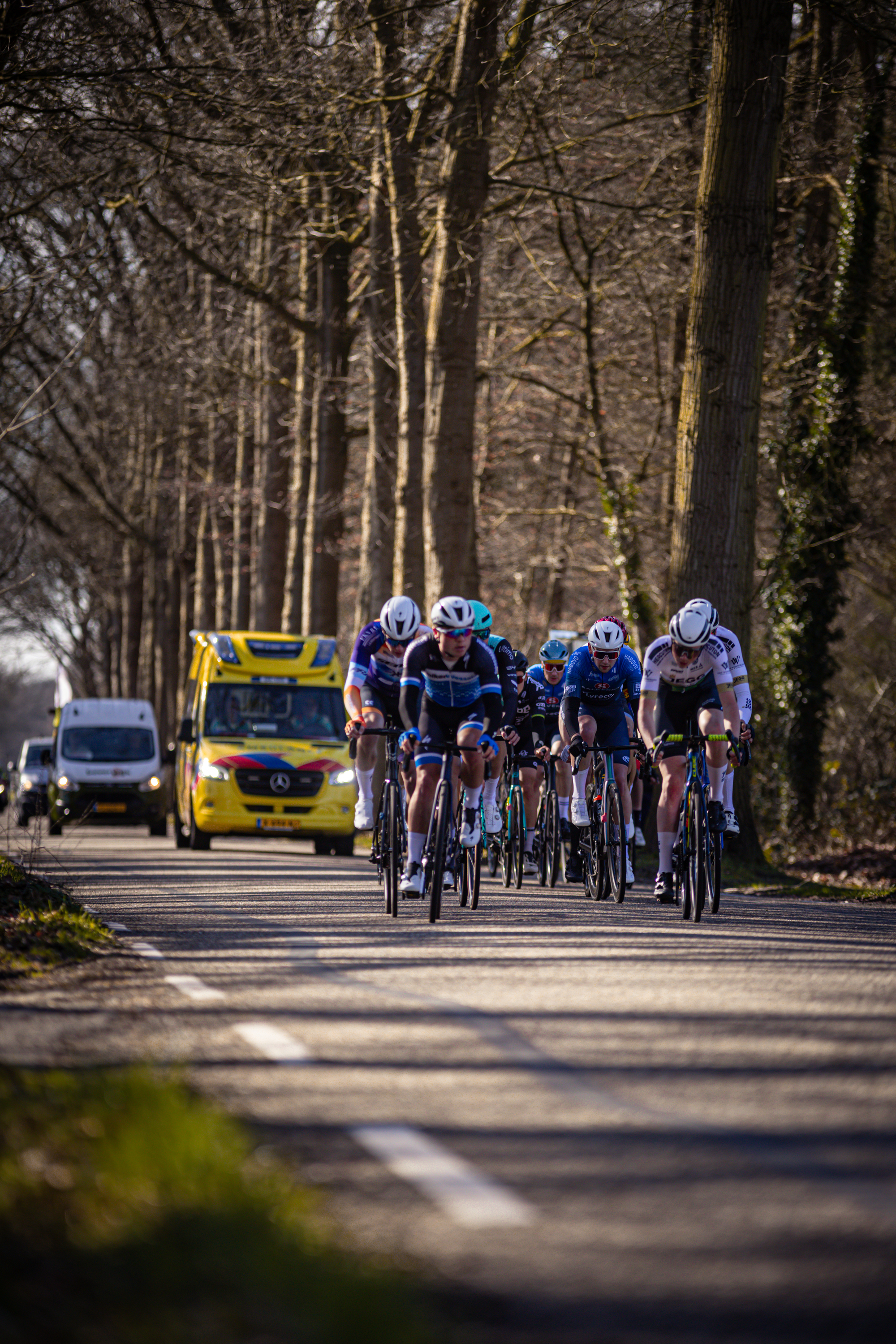 A group of cyclists in a race on a street lined with trees.