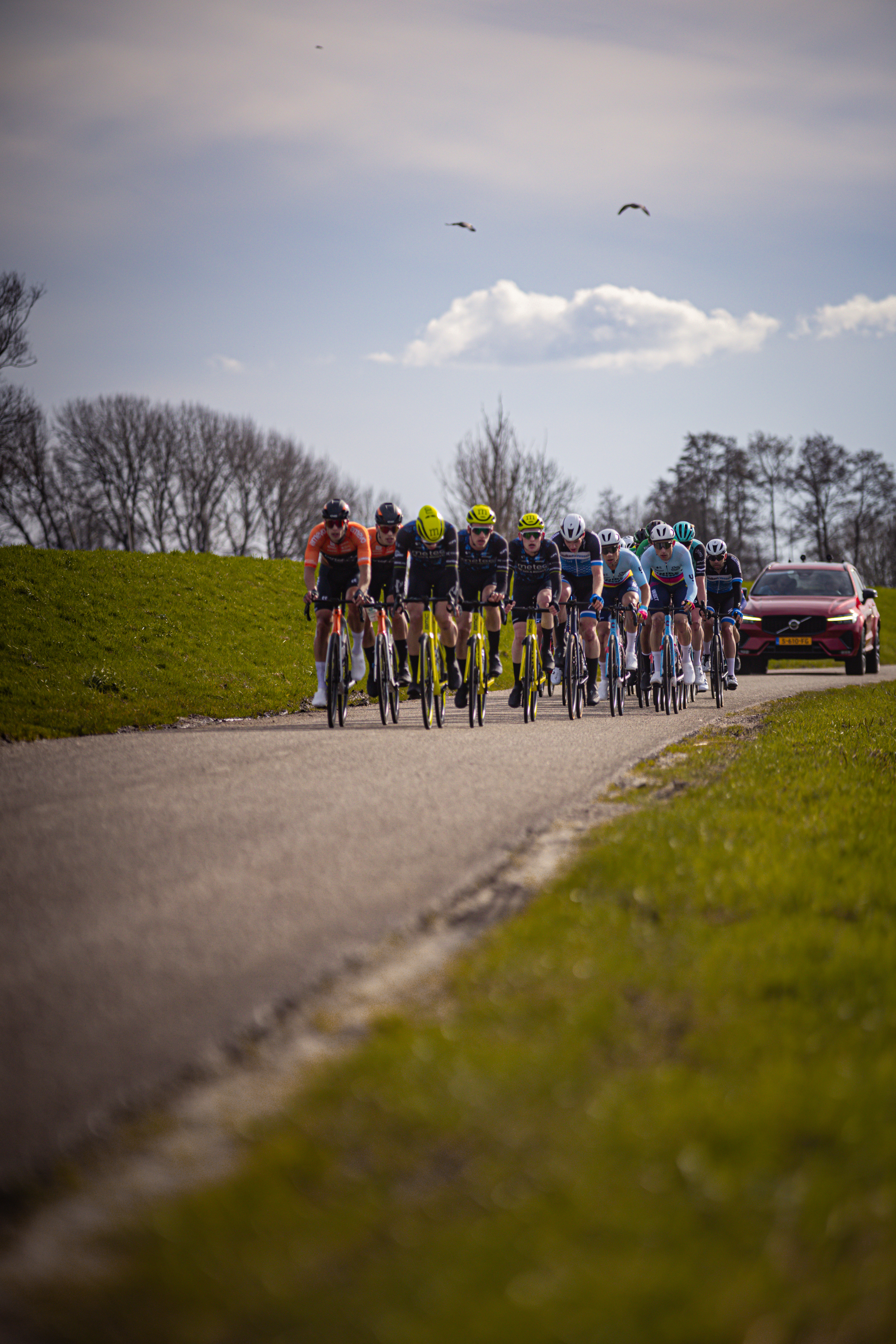 A group of bikers on a road are sponsored by Selle and have the numbers 1 through 10 on their shirts.