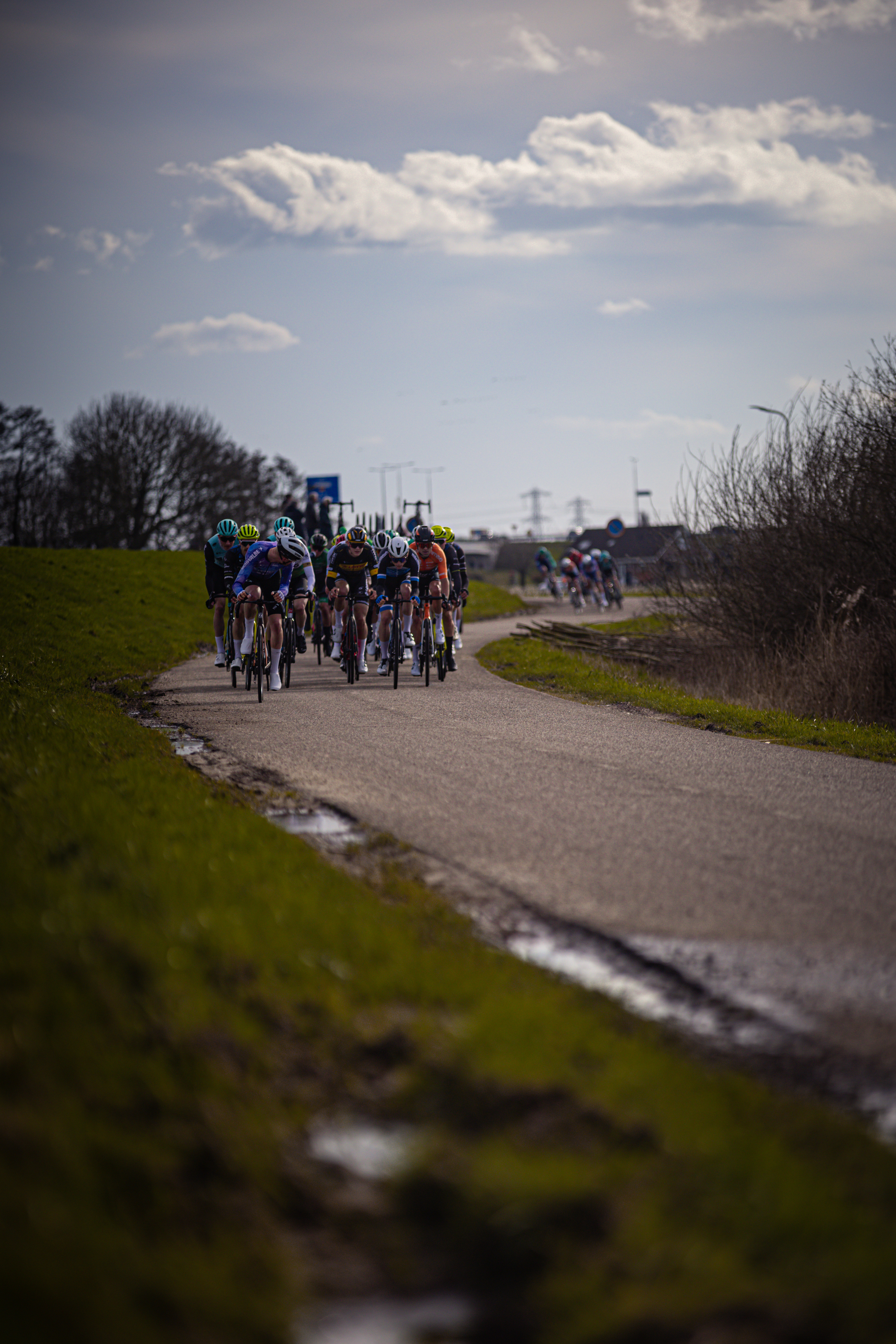 People riding bicycles on a road. They are part of Ster van Zwolle, a cycling race taking place in 2024.