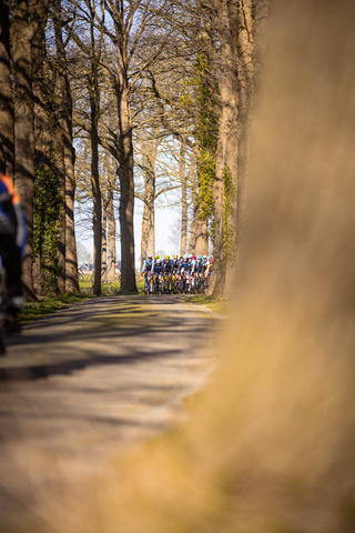 A group of cyclists on a trail that leads to Ster van Zwolle.