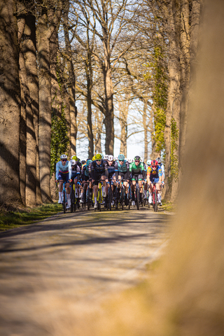 A group of cyclists gathered around a small tree in a park.