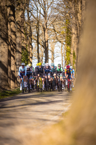 A cyclist race in 2024 in a city called Ster van Zwolle.