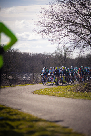 A group of cyclists riding down a road in the Ster Van Zwolle race.