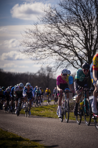 Several cyclists are riding down a street in the Netherlands.