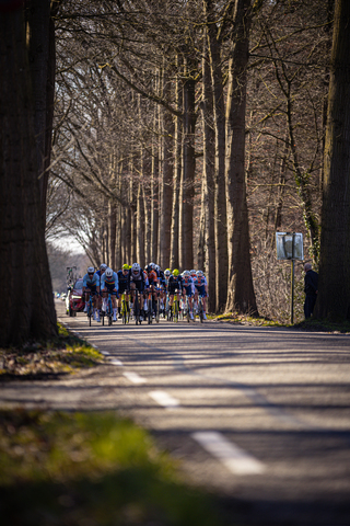 A group of cyclists are riding on a road in front of trees, with the name "Ster van Zwolle" on one side of the street.