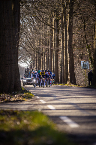 A group of cyclists are riding down a street in the Netherlands.