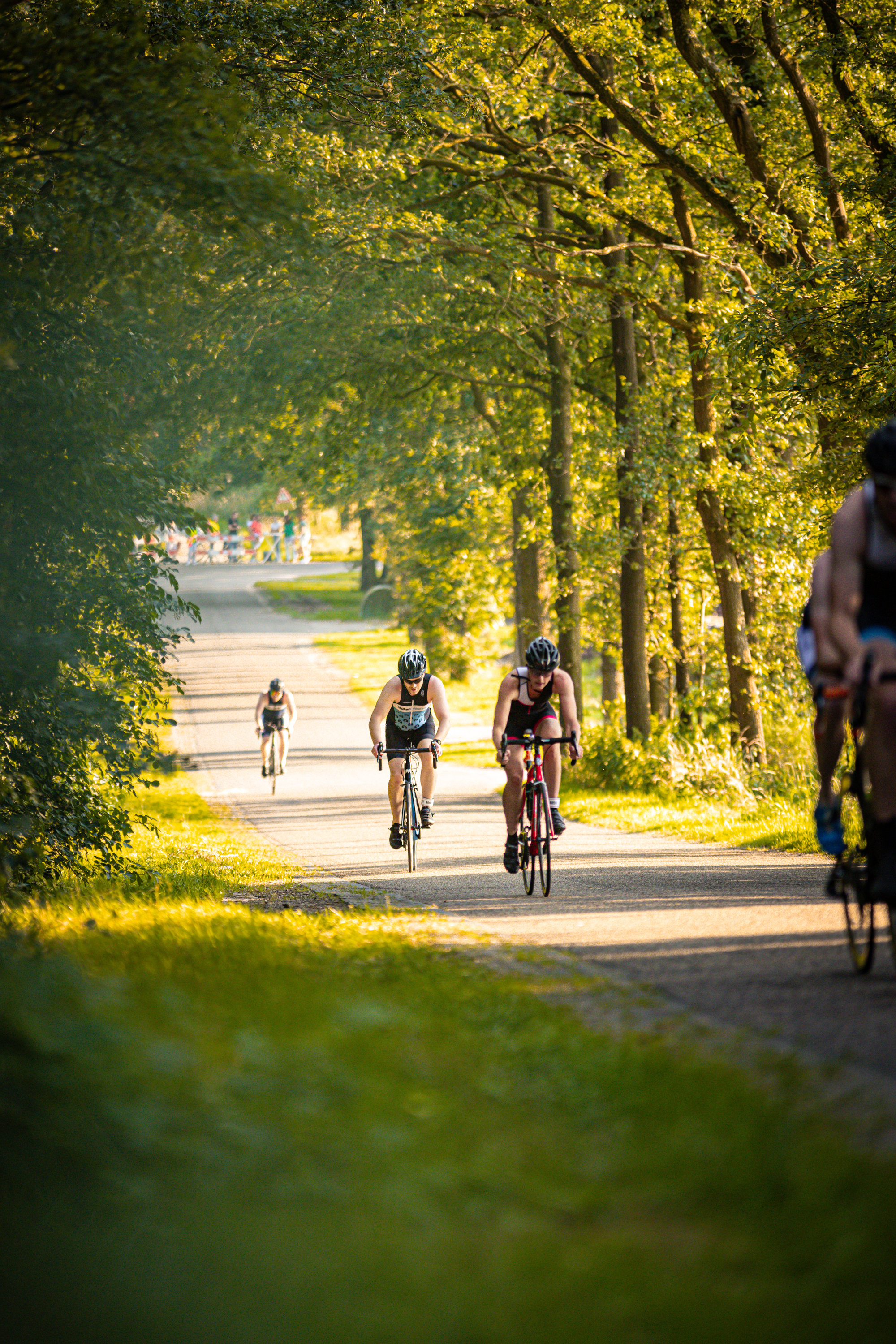 Three cyclists wearing black helmets riding down a shady path.