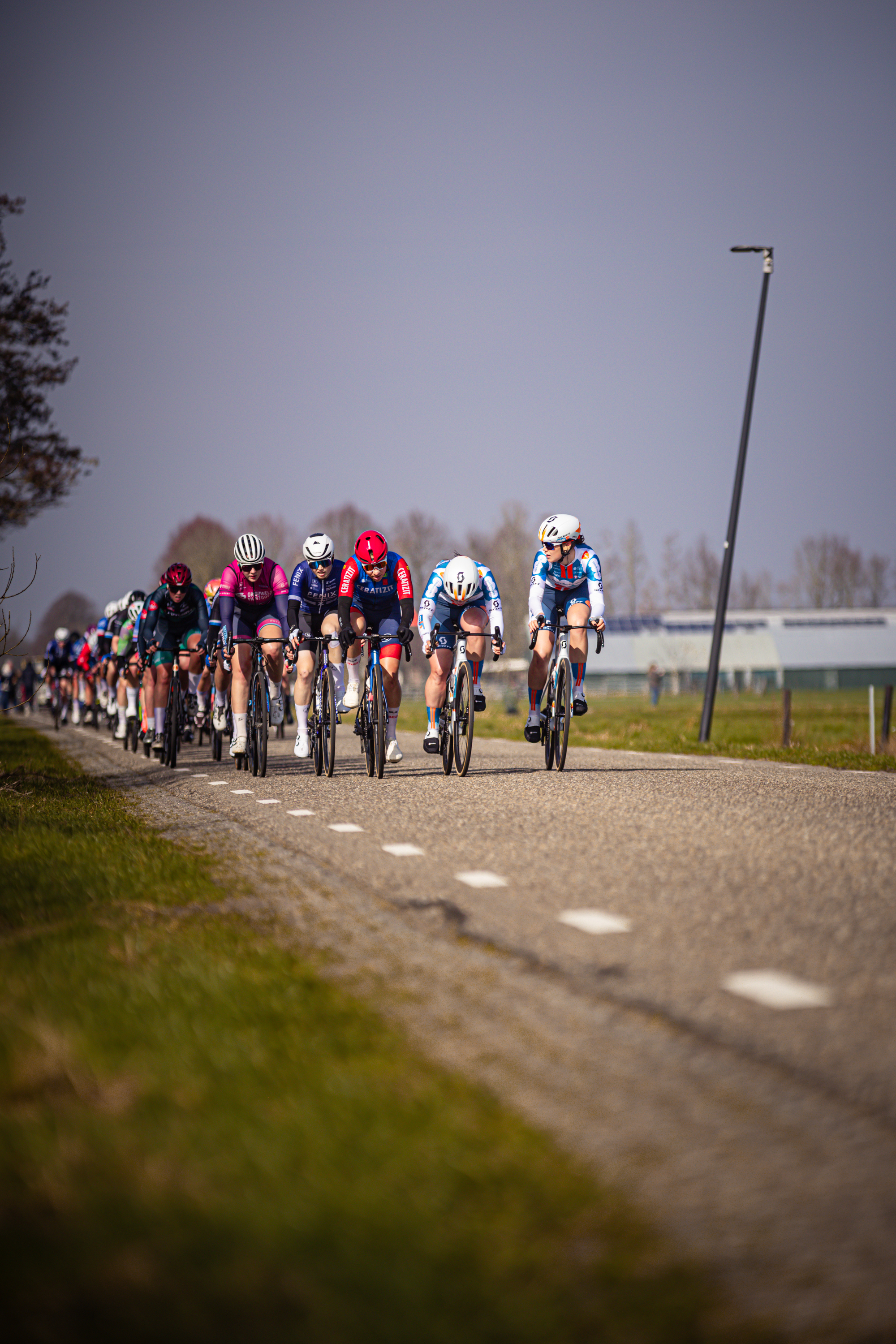 A group of cyclists are racing on a road with trees in the background.