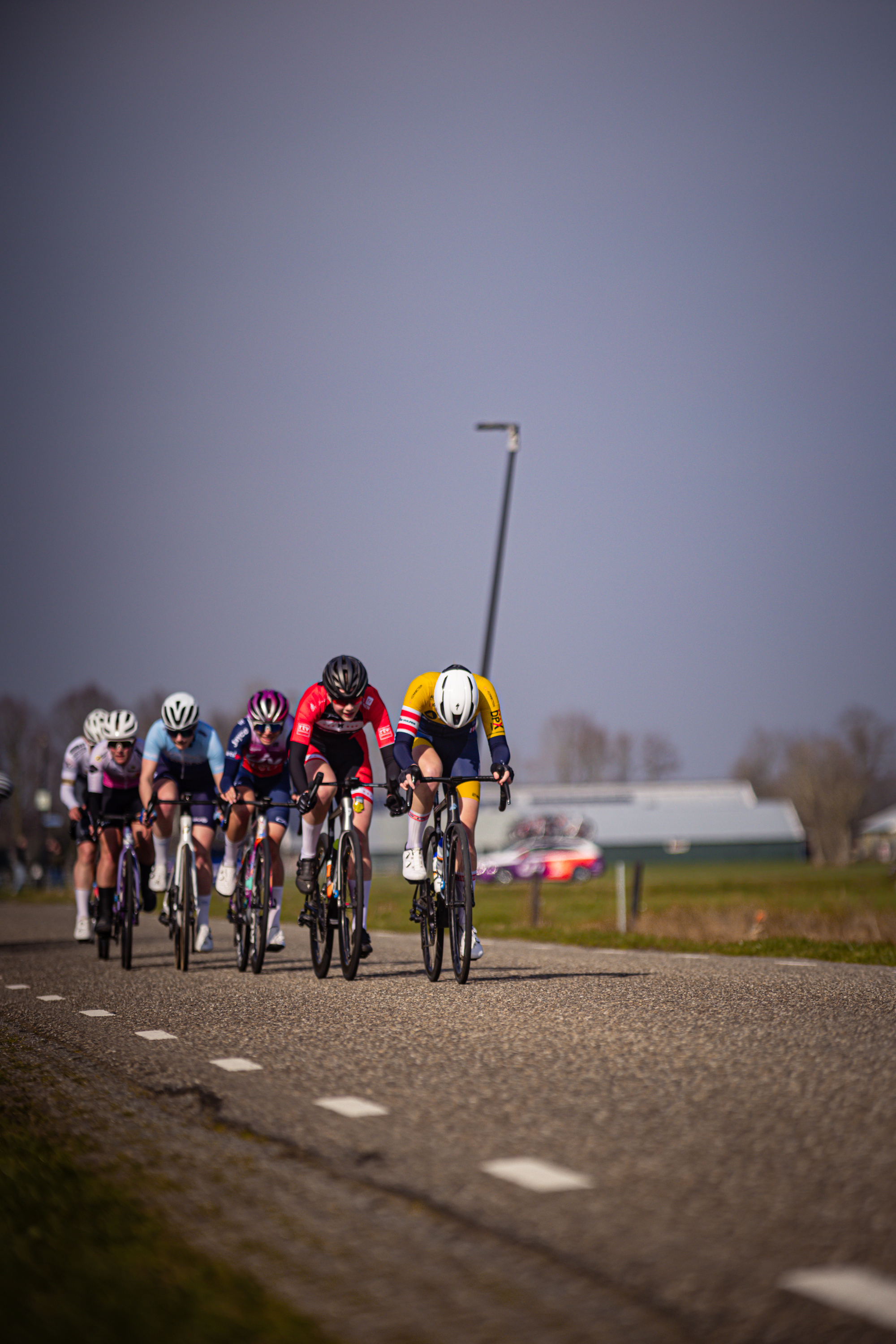 Wielrennen Drentse 8 van Westerveld 2024, a group of cyclists race along a gravel road.