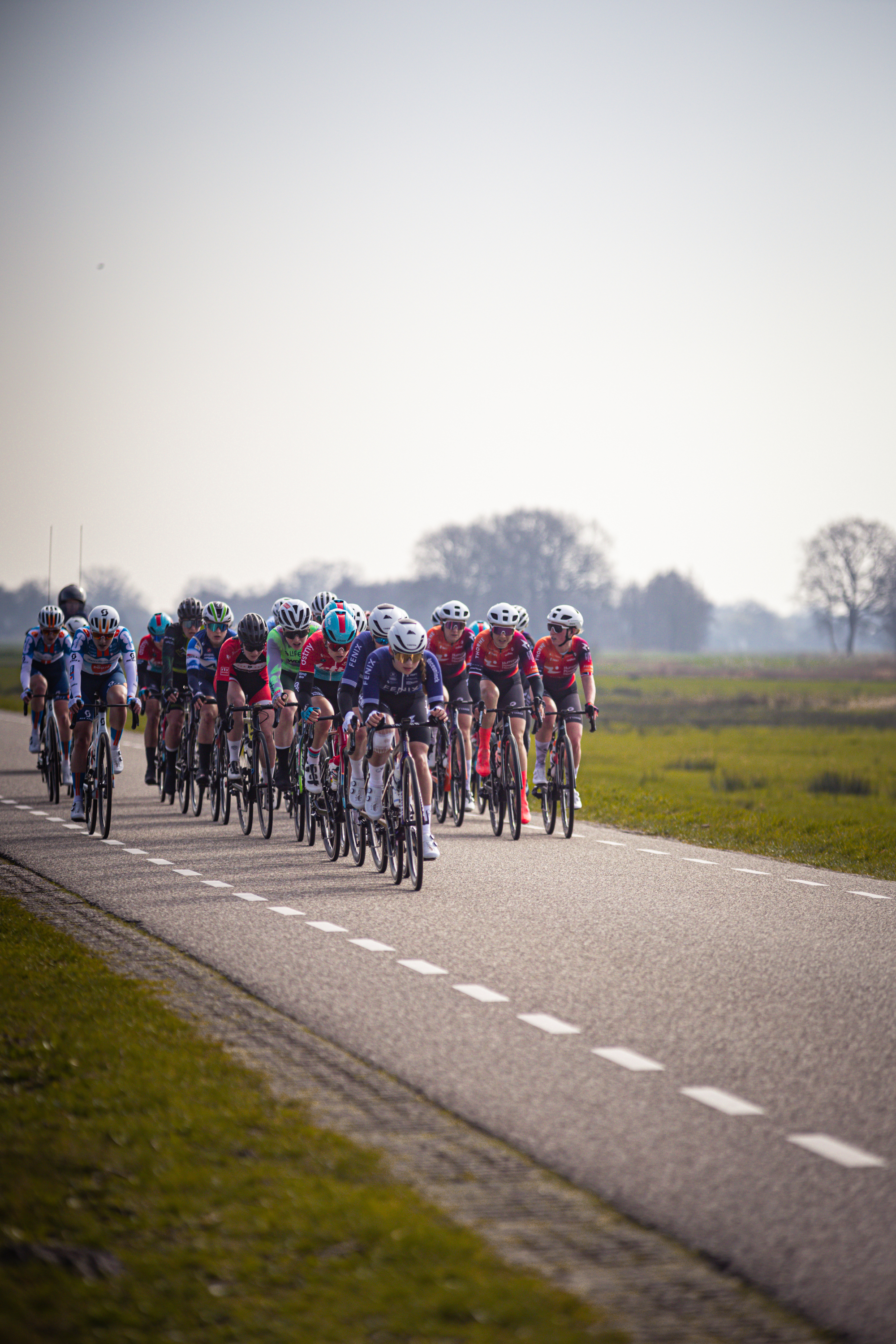 A group of bicyclists race down a road in the countryside near a field.