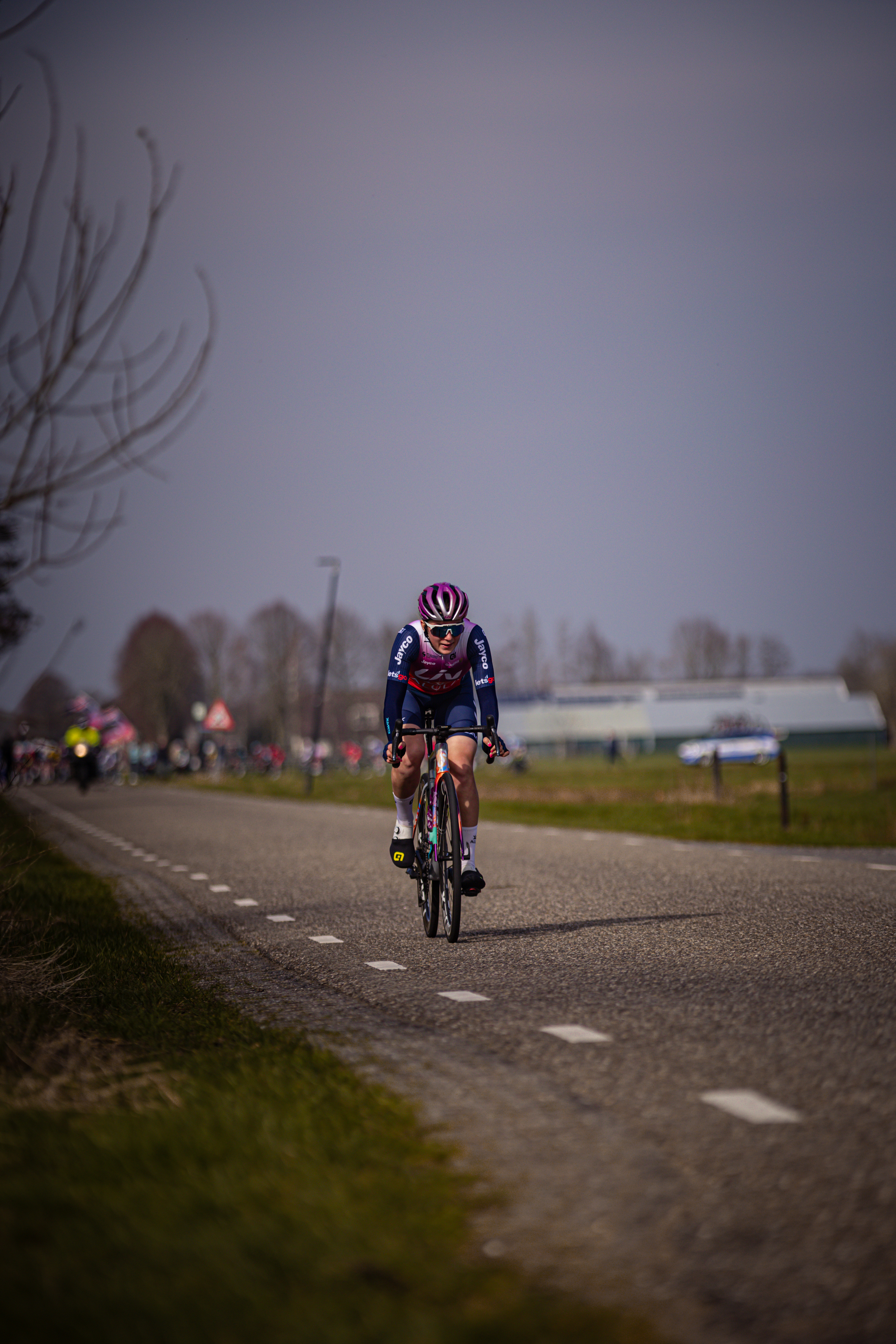 A cyclist wearing a blue jersey and helmet is riding down a road.