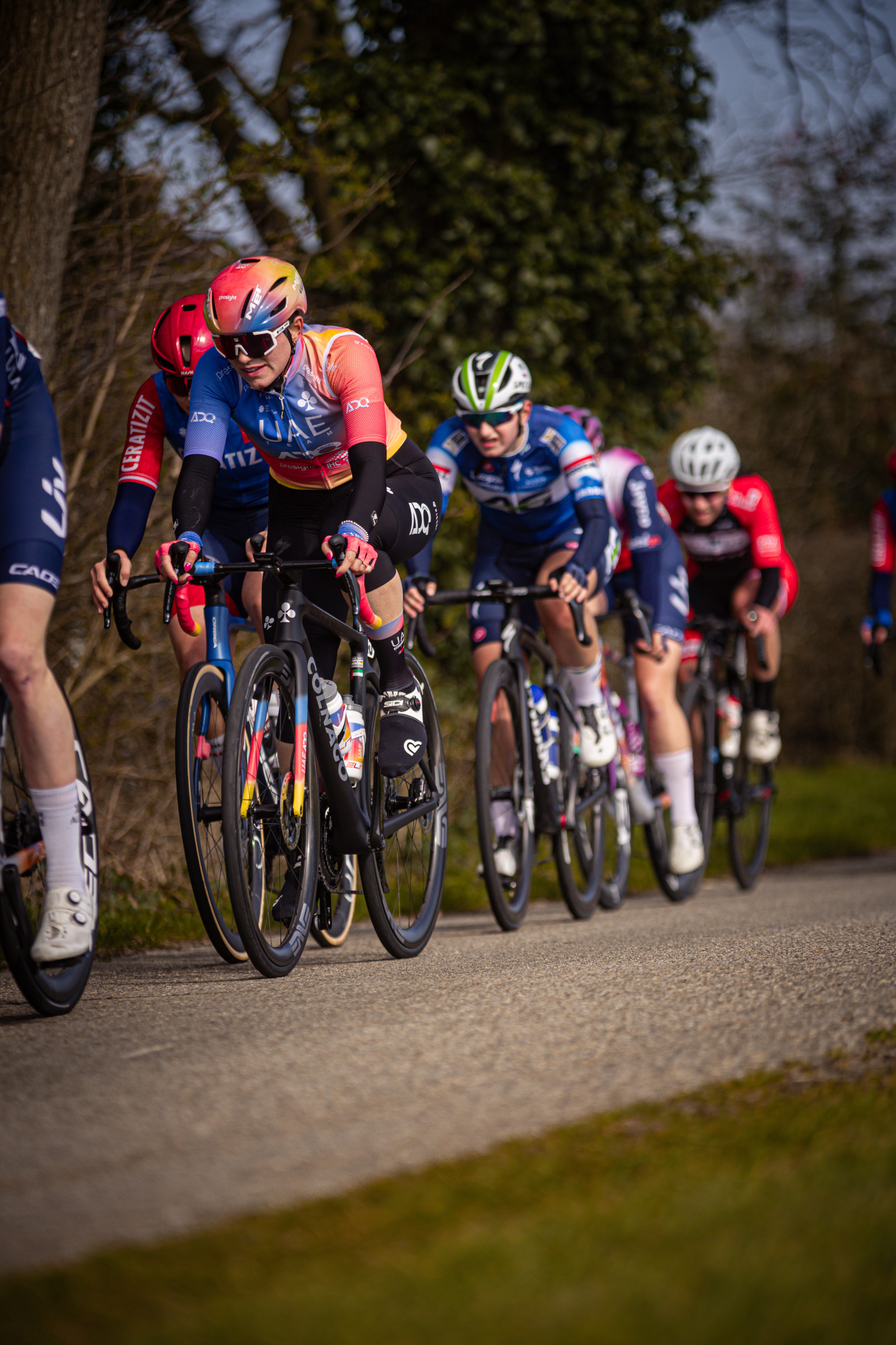 The cyclists are racing in the Drentse 8 van Westerveld race.