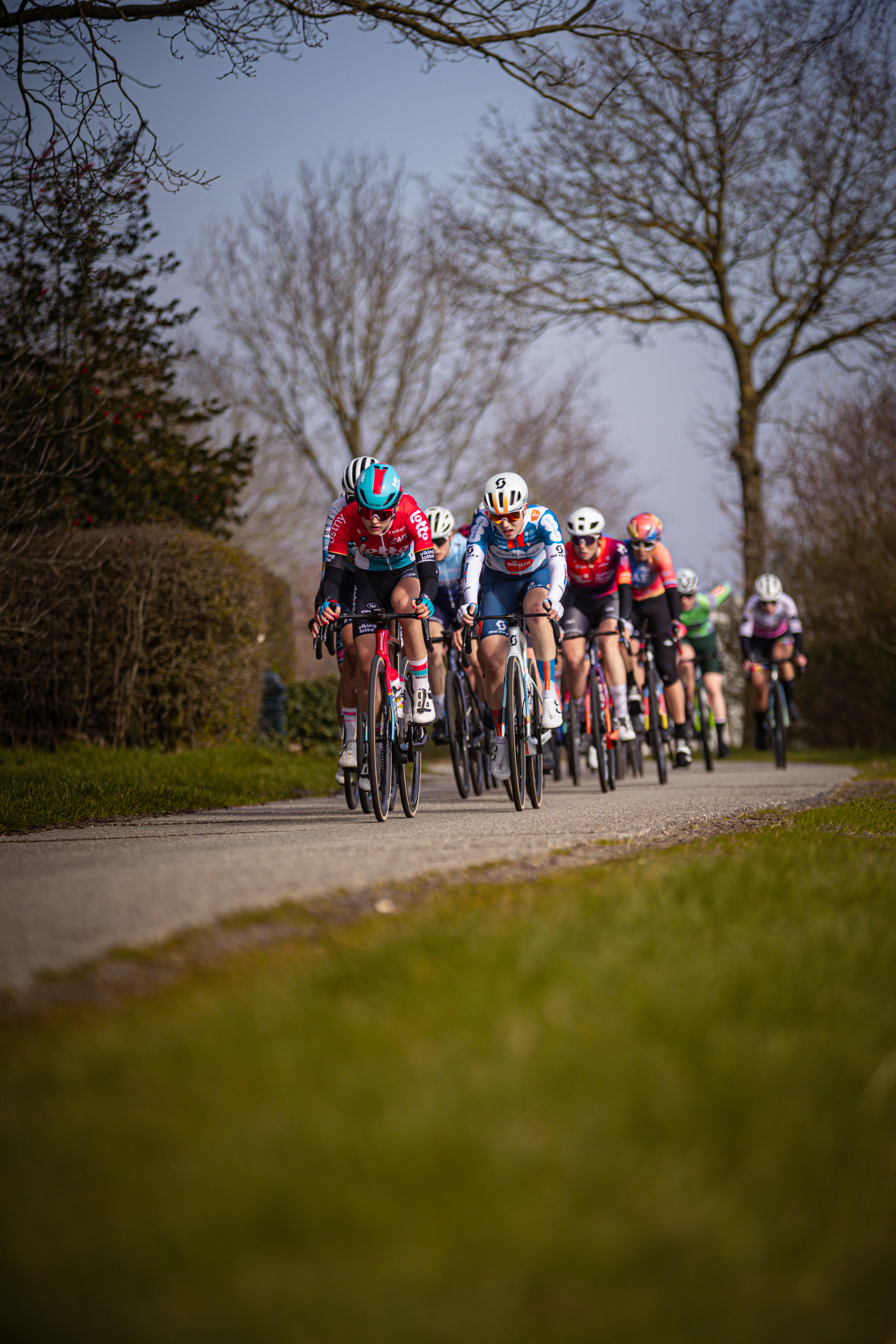 Eight cyclists riding down a road on Drentse 8 van Westerveld.