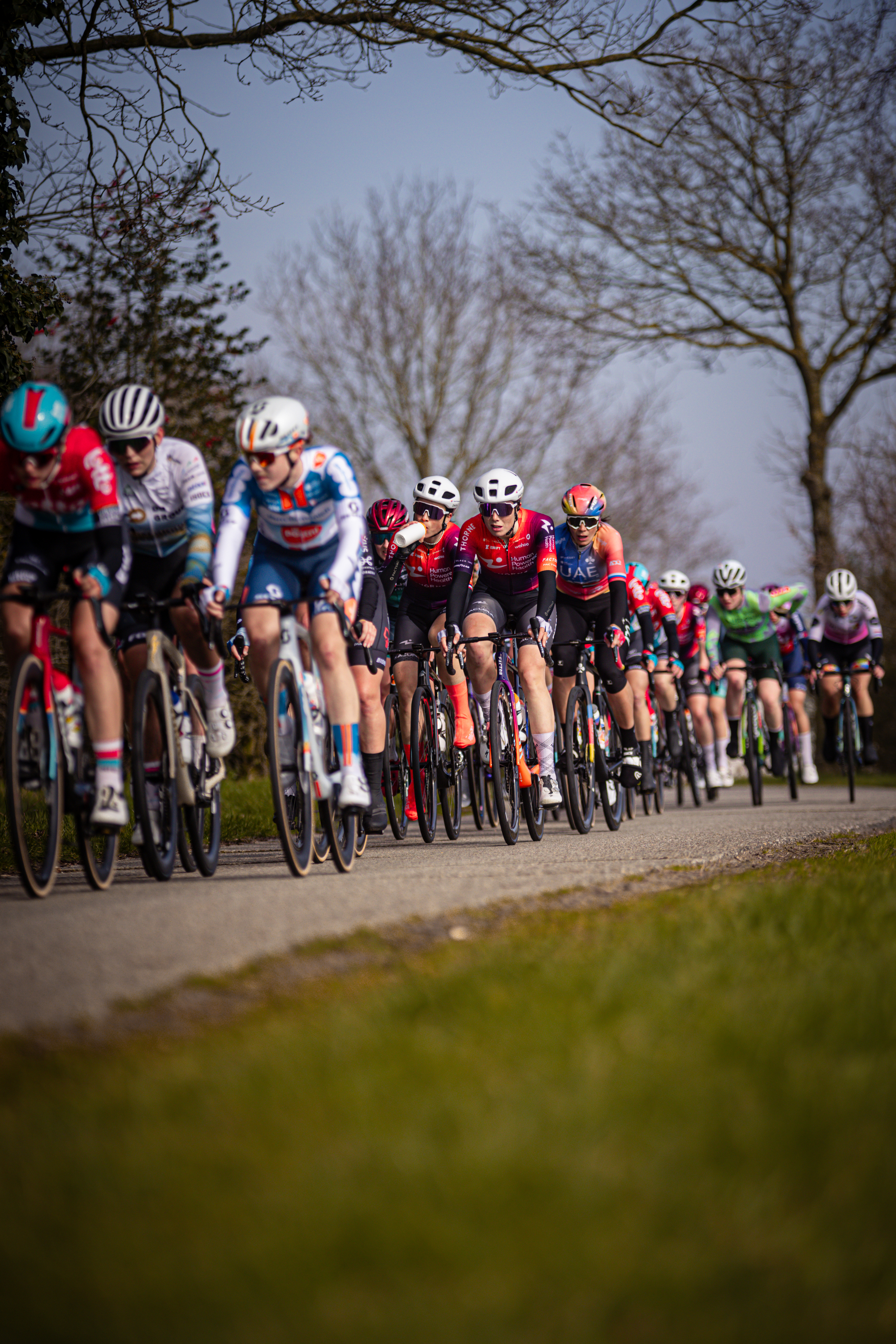 A group of cyclists wearing helmets ride down the street in a race.