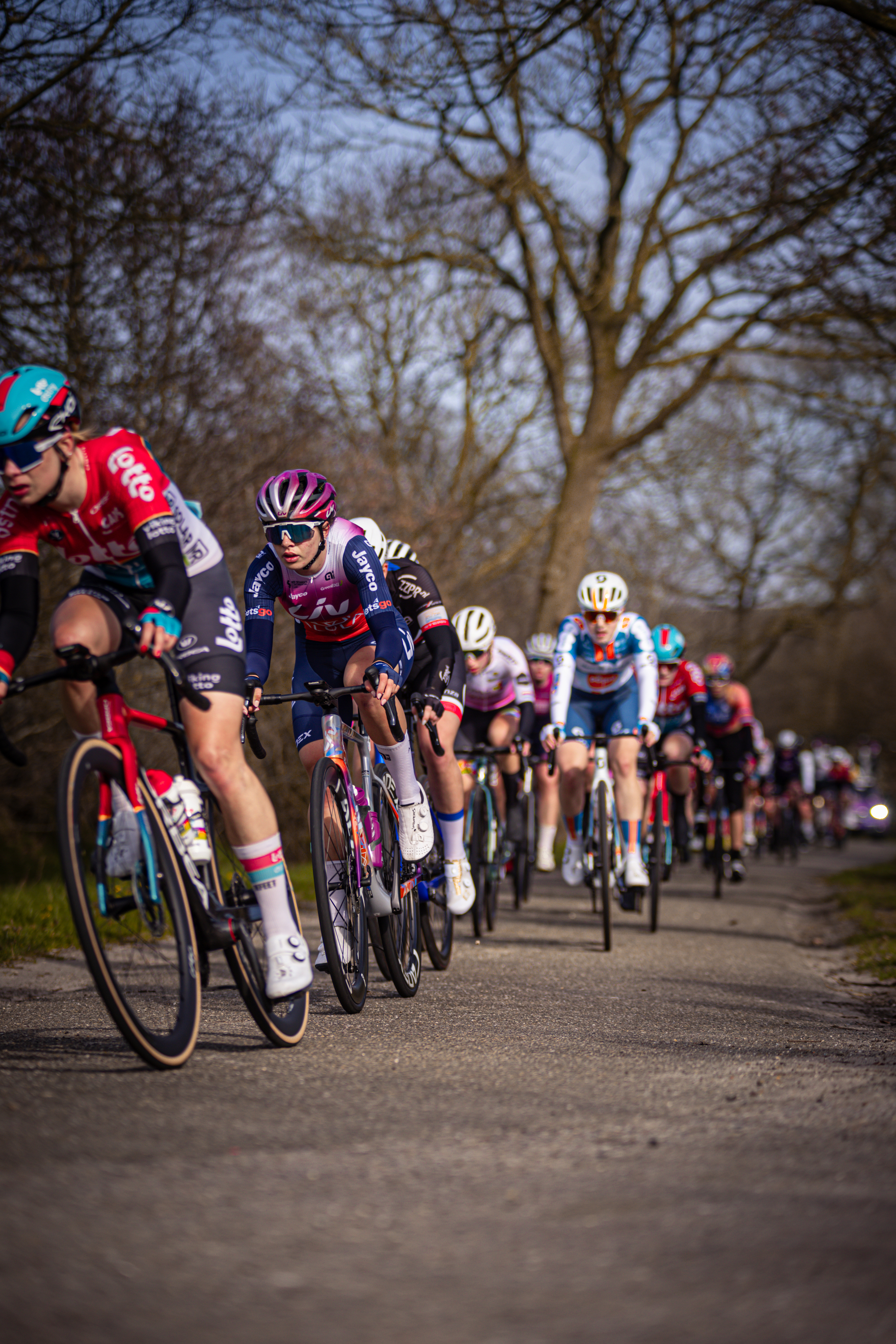 A group of bicyclists are riding down a paved road.