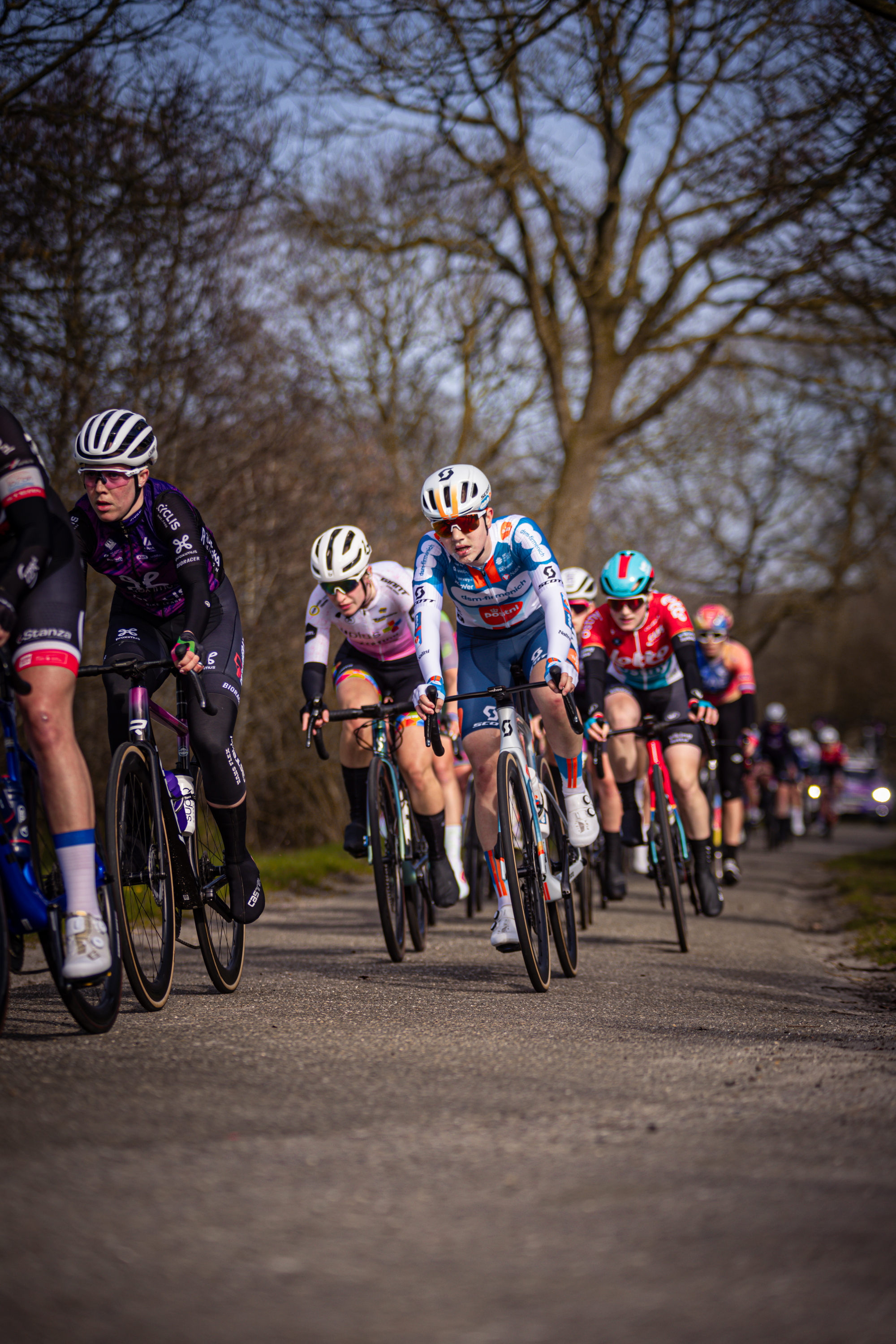 A group of bicyclists race on a road in the Drentse 8 van Westerveld.