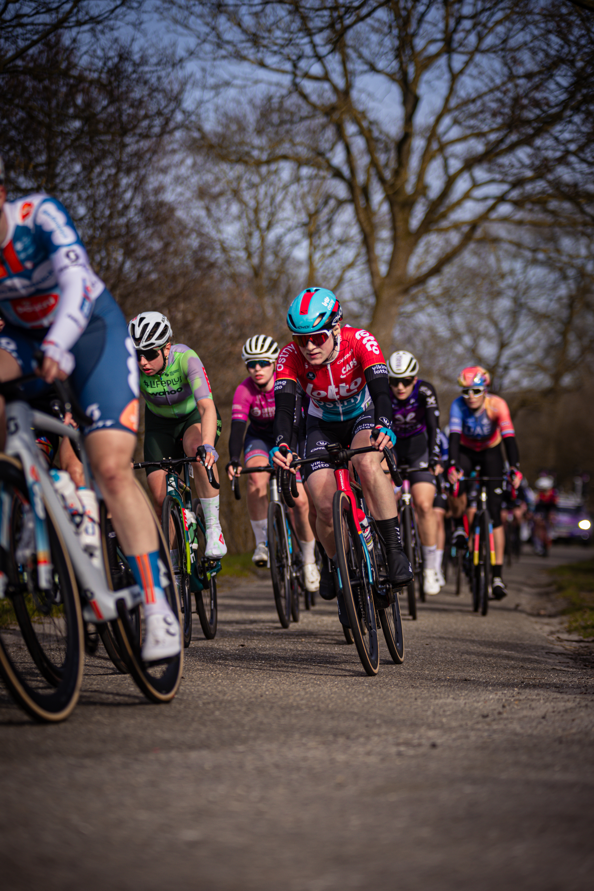 A group of cyclists participating in Drentse 8 van Westerveld.