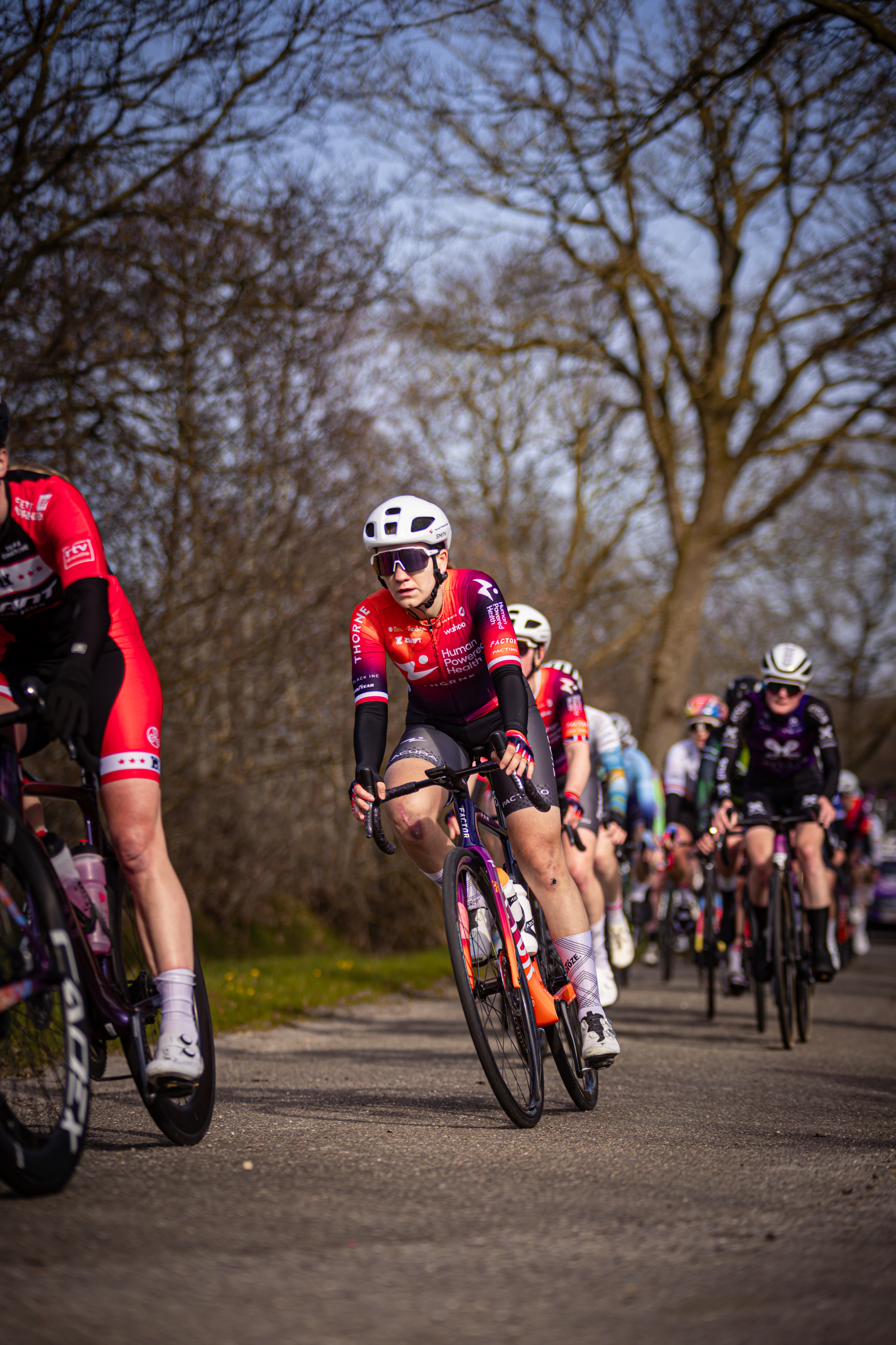 A group of cyclists race down a road in the Netherlands.