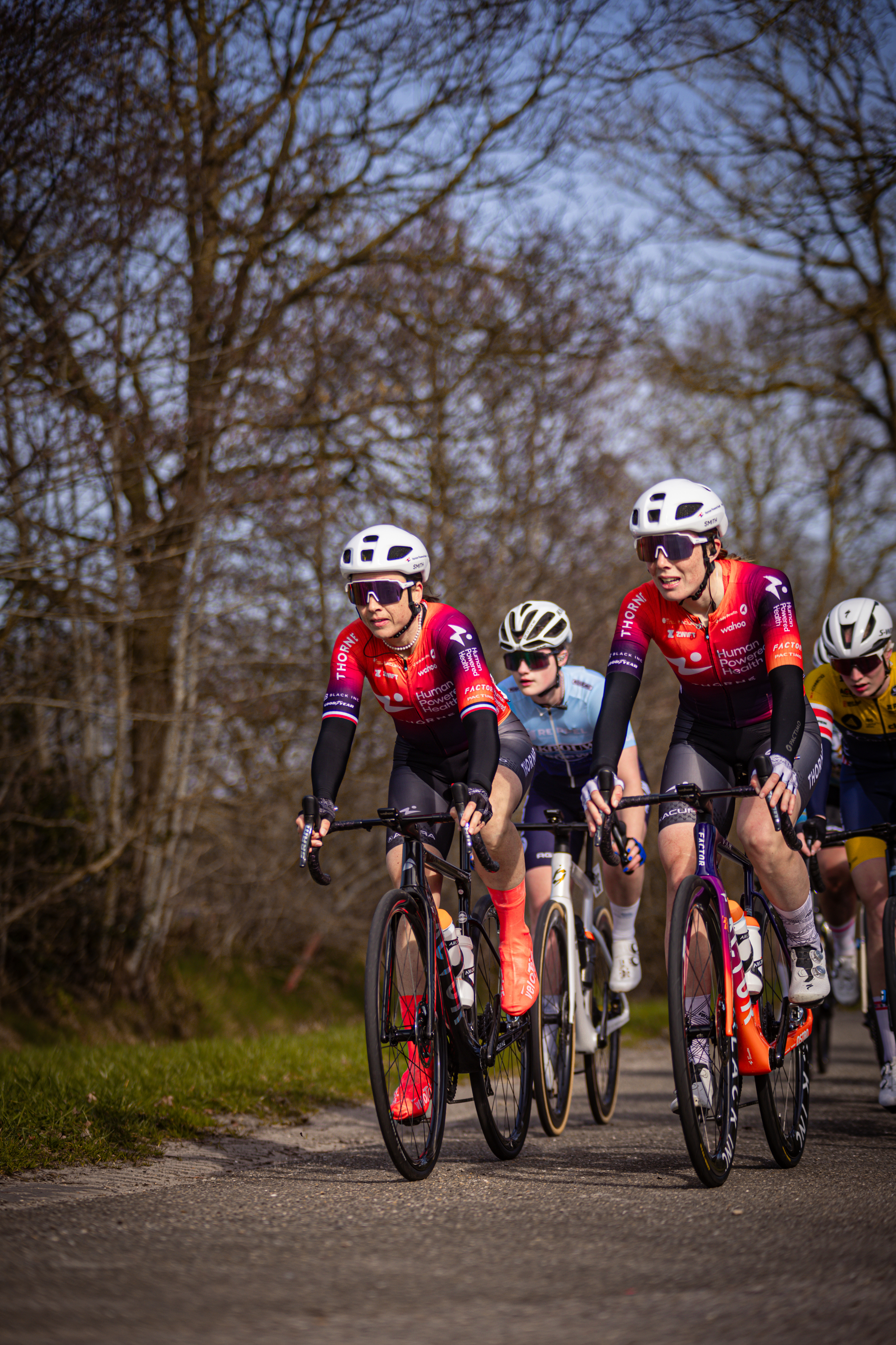 Four cyclists are racing through the countryside during the Drentse 8 van Westerveld event.