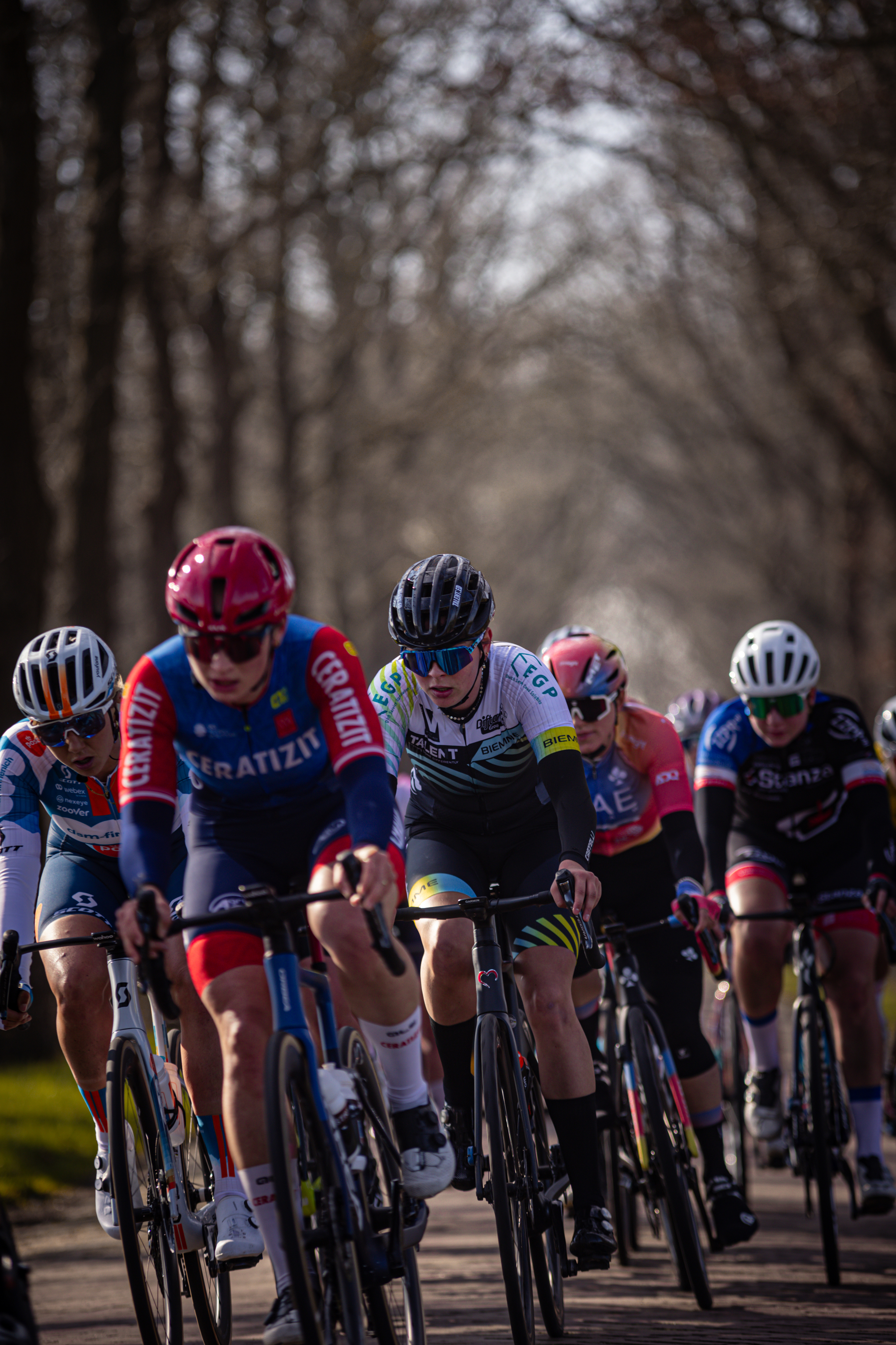 A cycling event in 2024 is taking place on a tree-lined street, with participants from various teams.