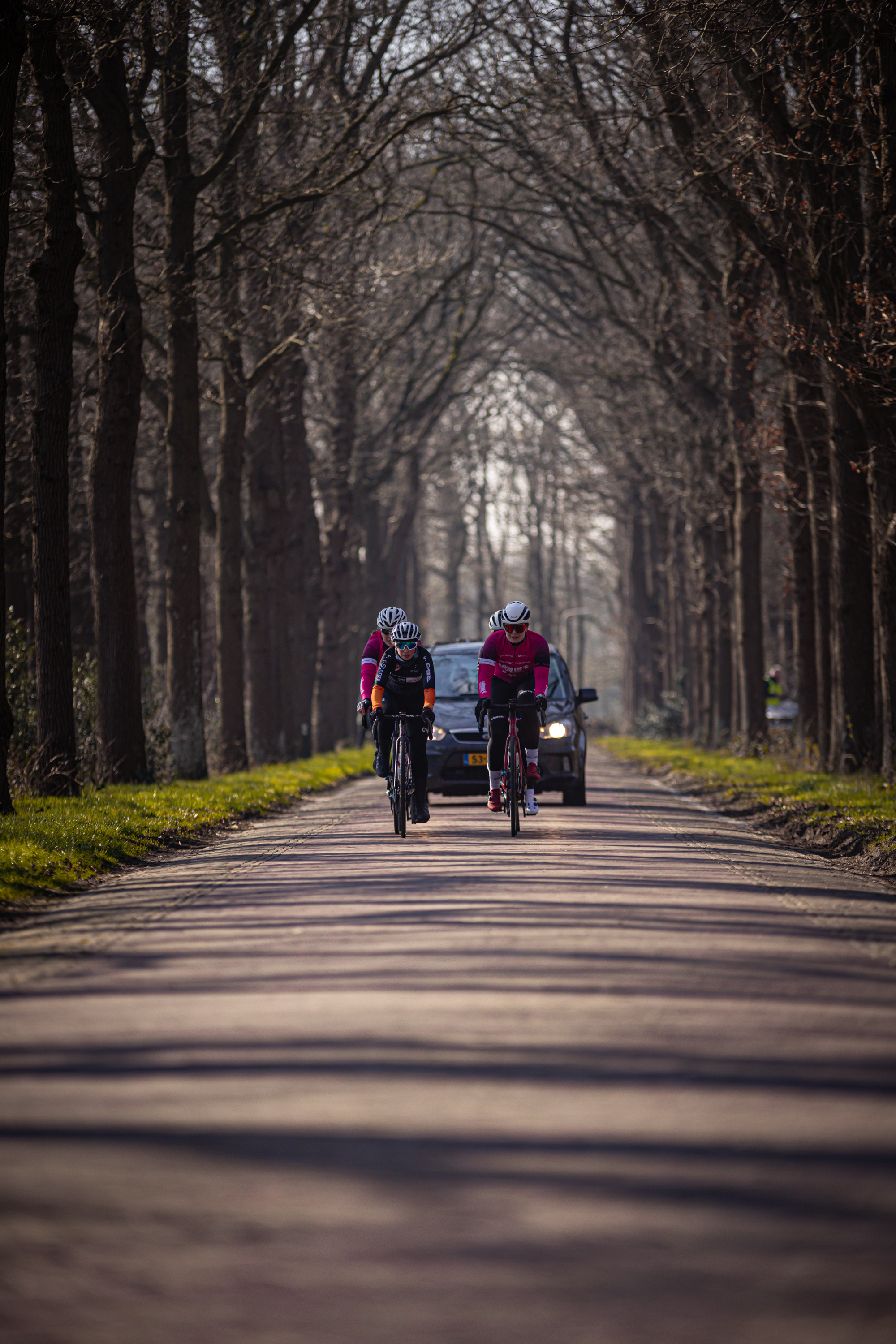 Two cyclists ride down a road with trees on either side.