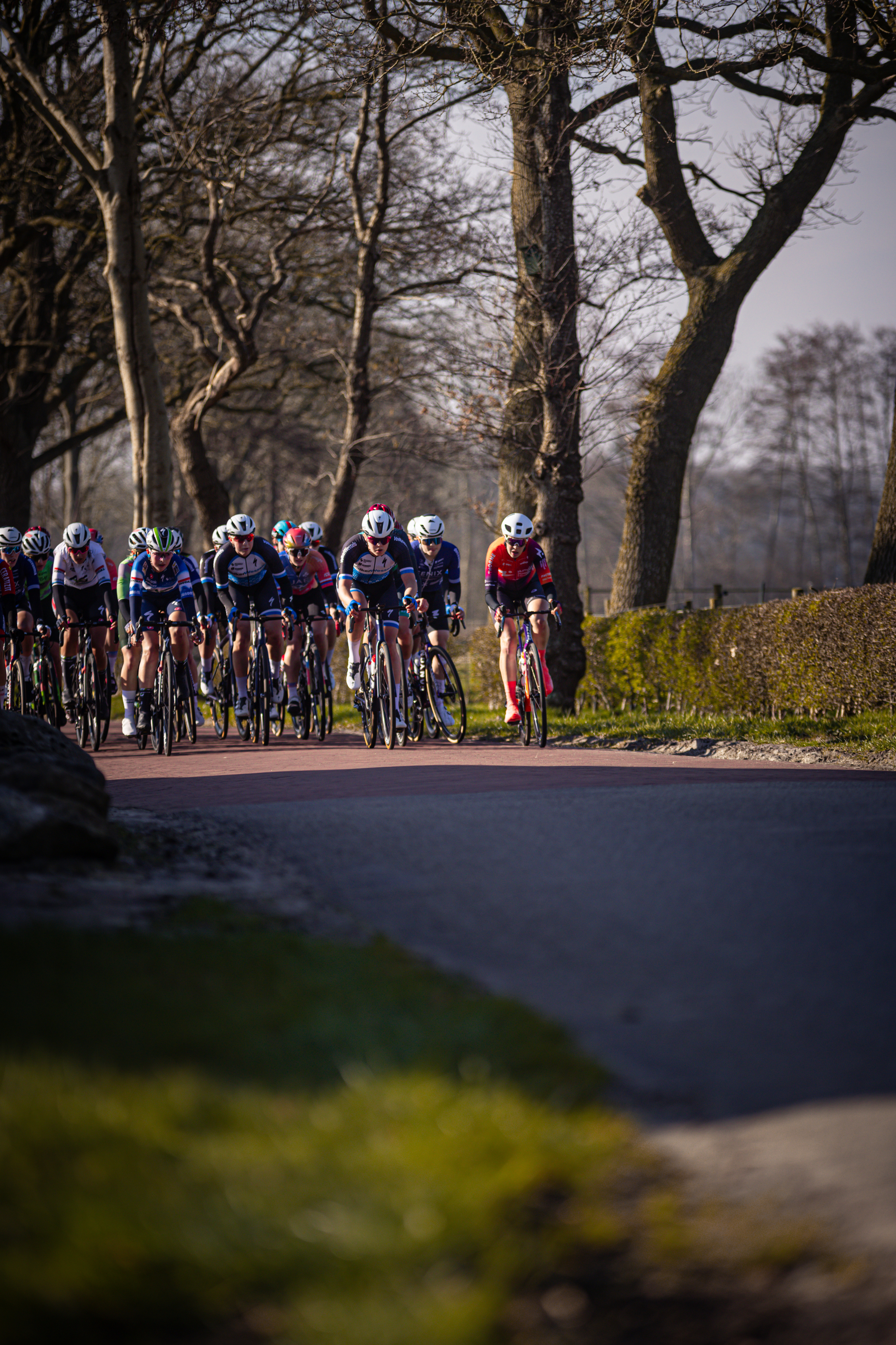 A group of cyclists are riding on a road in the Netherlands during the Drentse 8 van Westerveld race.