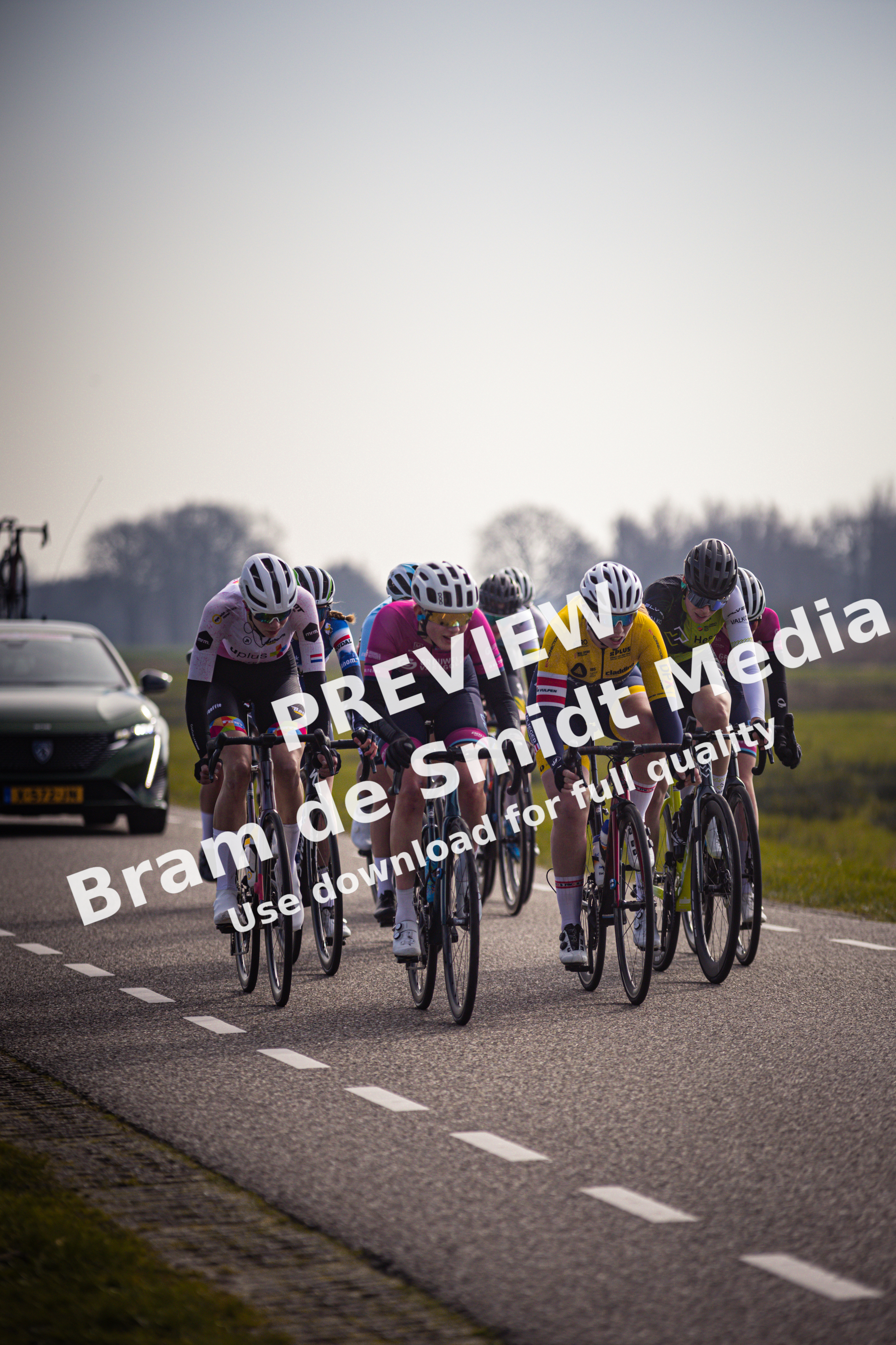 A group of cyclists race down the road with cars behind them.