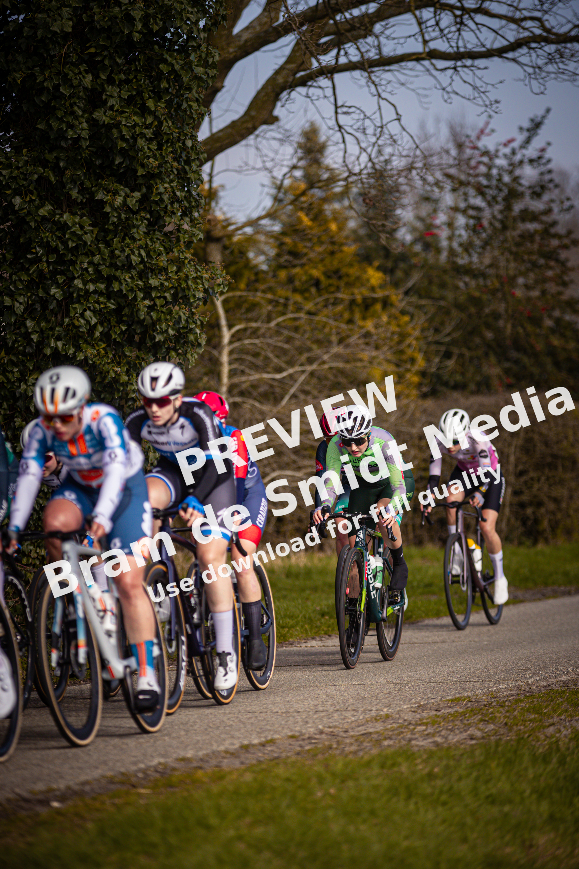 Eight cyclists are wearing helmets as they ride along a trail.
