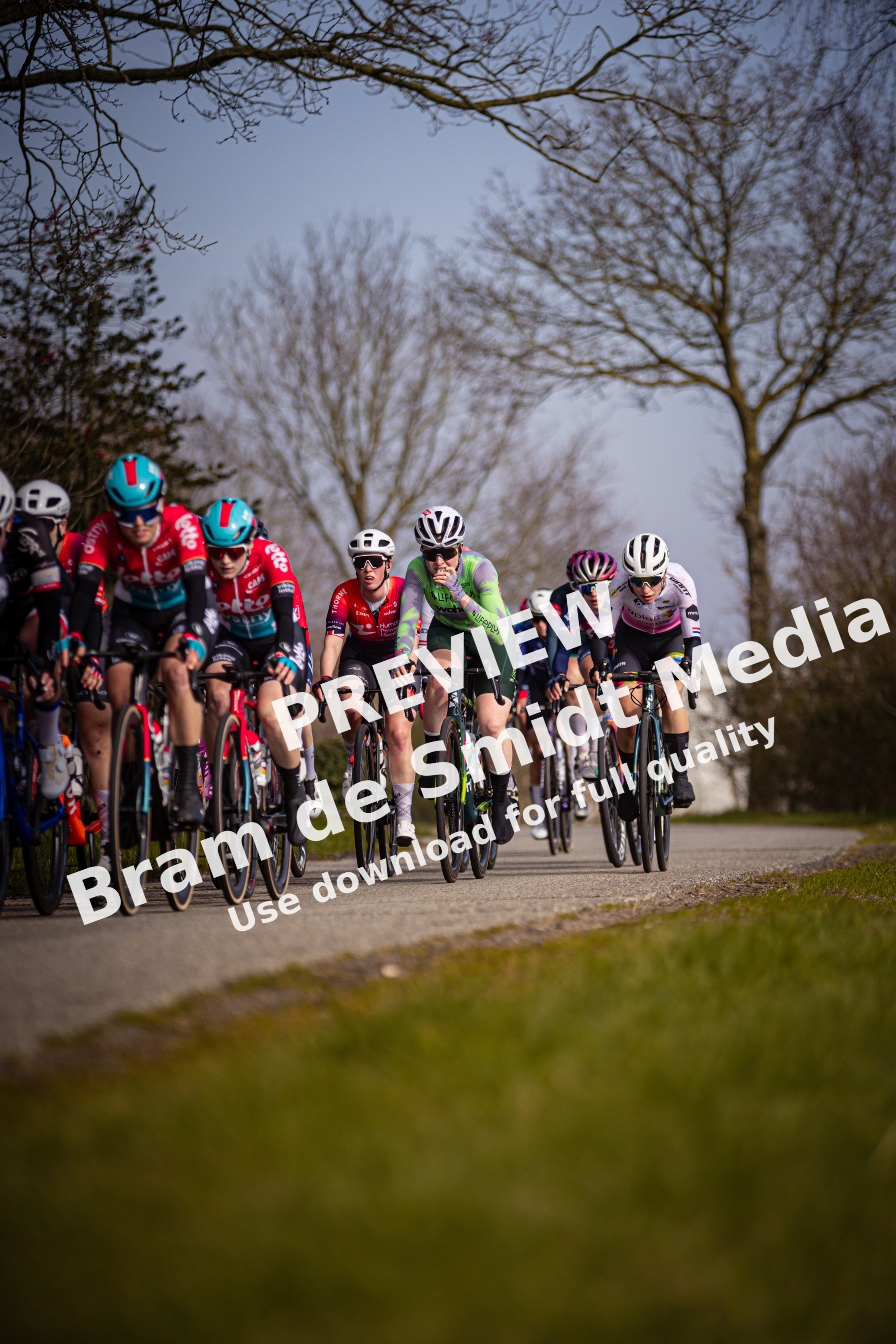 A group of cyclists are riding on a road during the Drentse 8 van Westerveld.