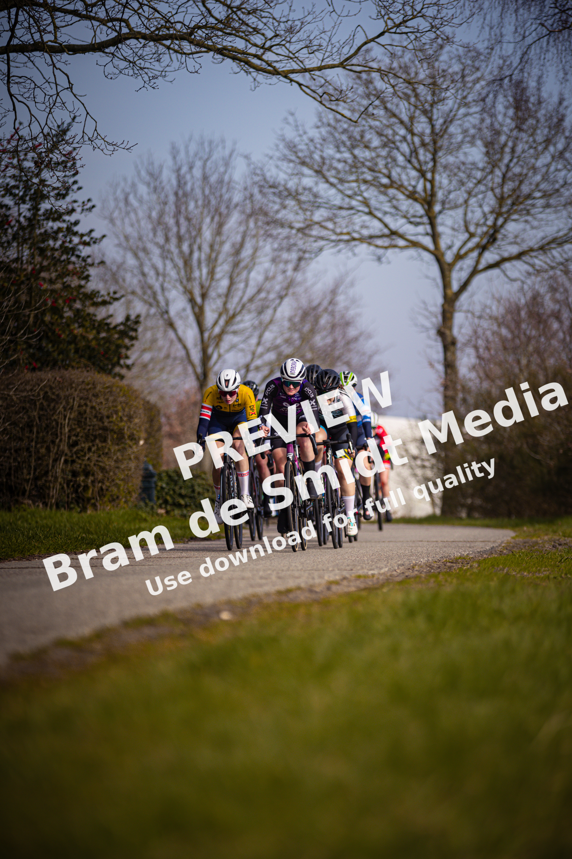 A cycling race is happening at Drentse 8 van Westerveld.