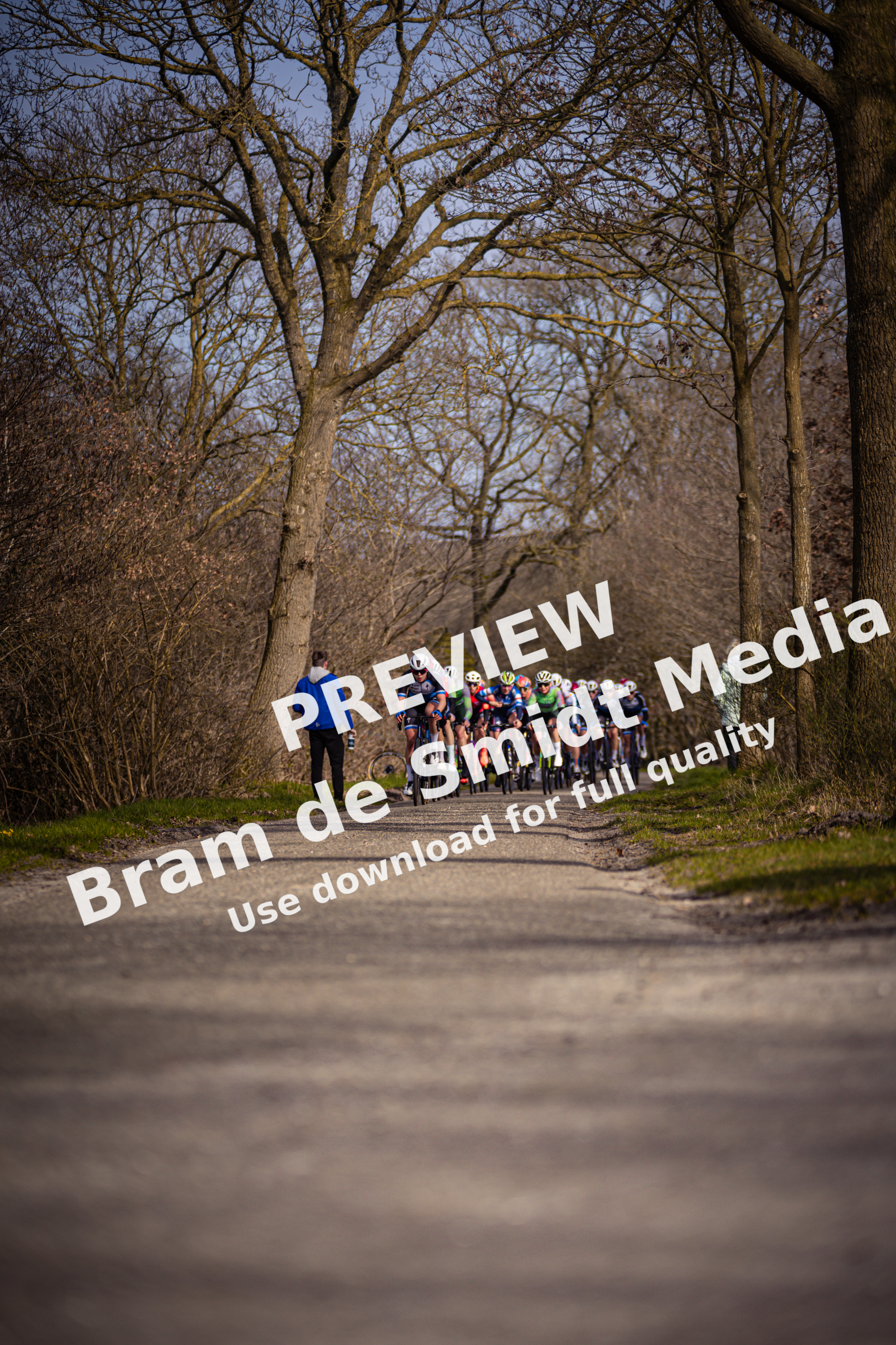 A group of bicyclists is riding down a road during the Drentse 8 van Westerveld race.