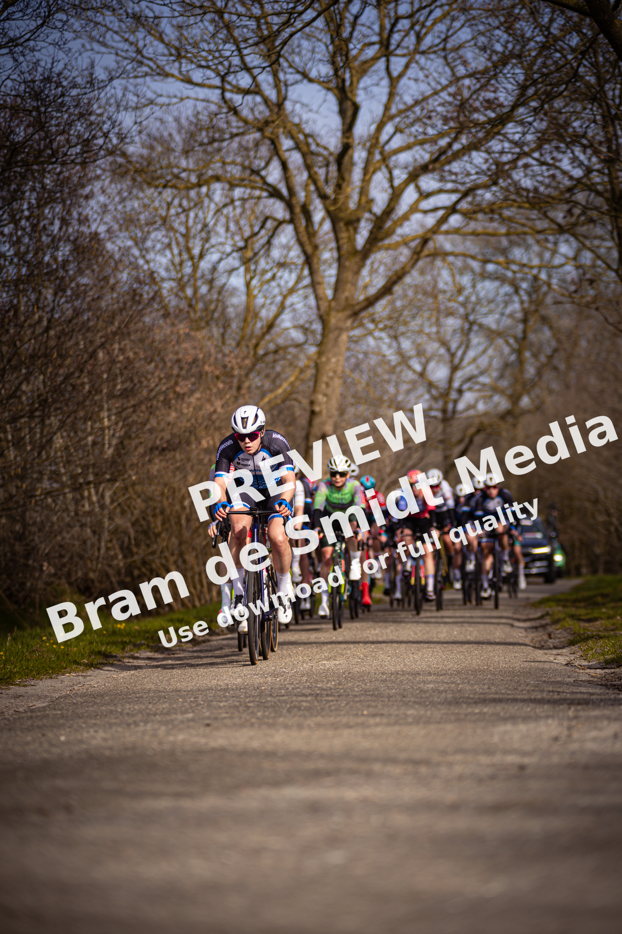 A group of cyclists are riding down a path in the woods during the Drentse 8 van Westerveld event.