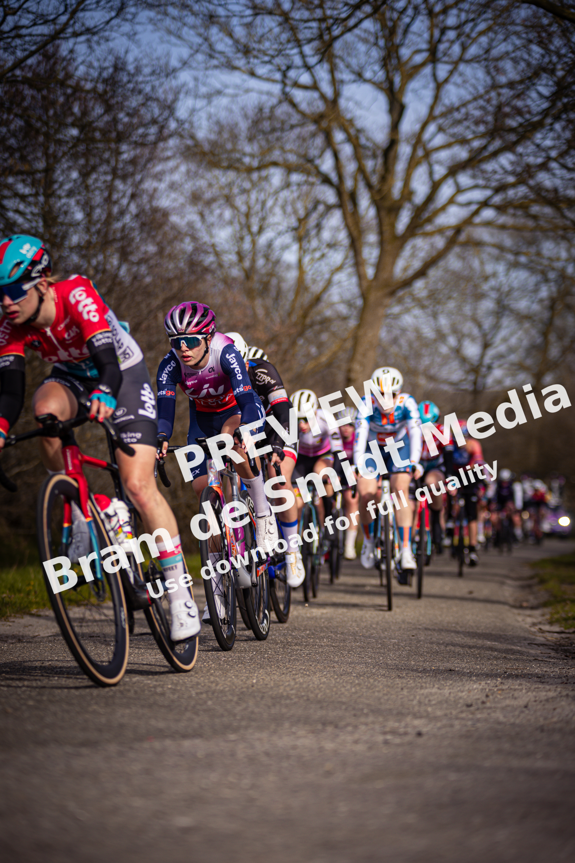 A group of bicyclists are riding down a paved road.