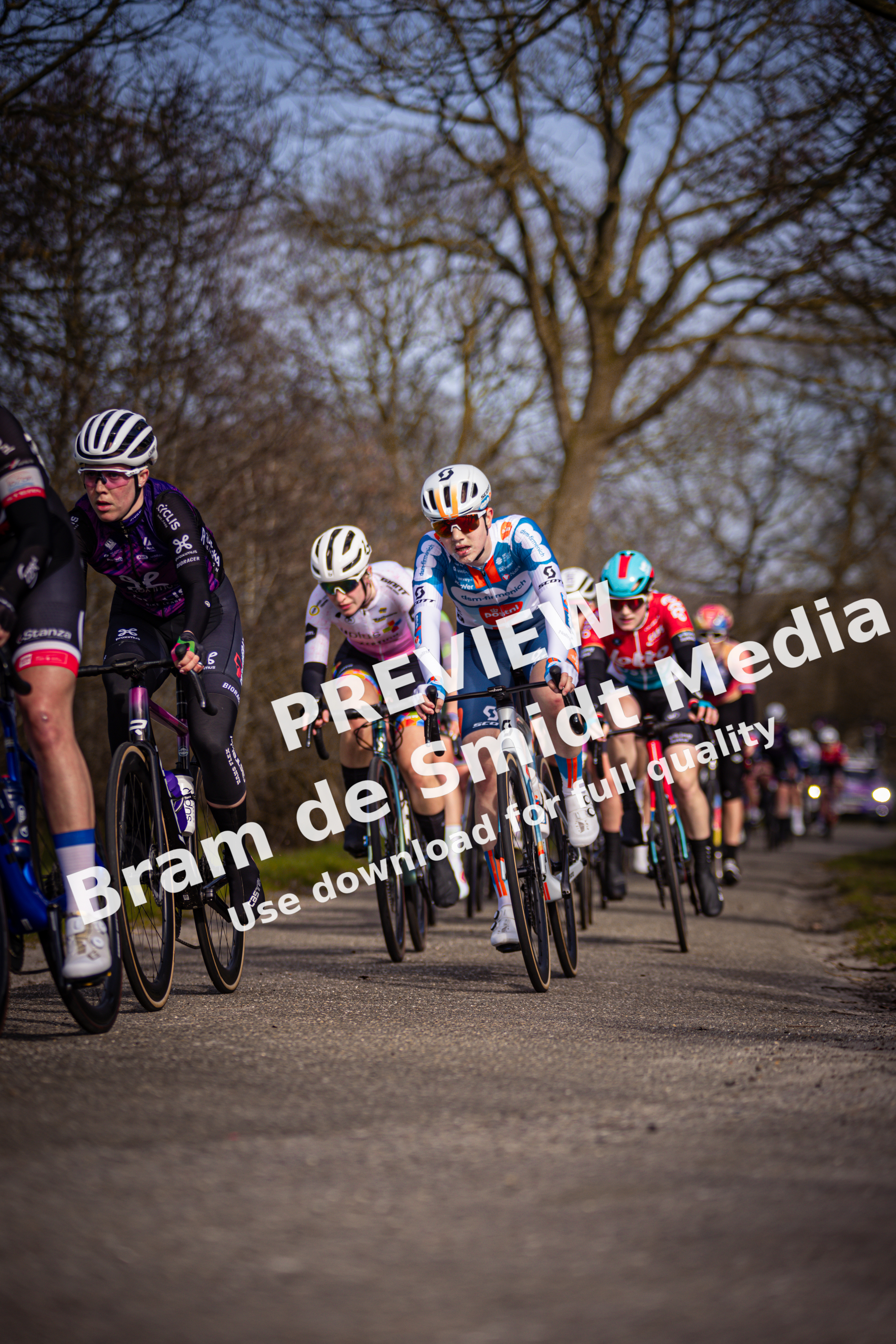 A group of bicyclists race on a road in the Drentse 8 van Westerveld.