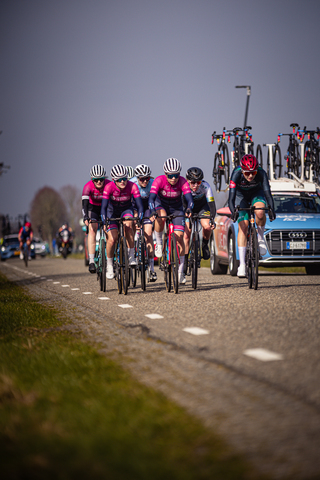 A group of 6 cyclists ride down a road in front of a blue car.