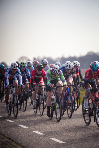 Several bicyclists are racing on a road near the Drentse 8 van Westerveld.