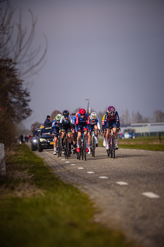 A group of cyclists wearing number 24 ride a race on the road.