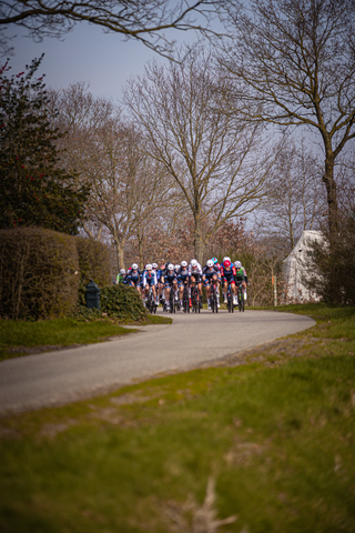 A group of cyclists riding on a road with trees in the background.