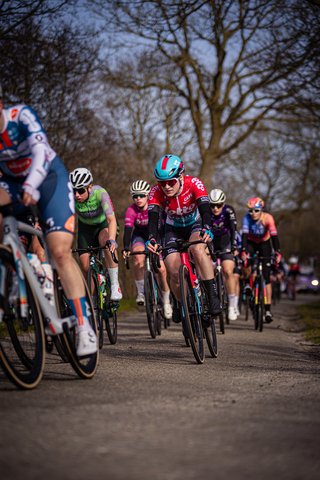 A group of cyclists participating in Drentse 8 van Westerveld.