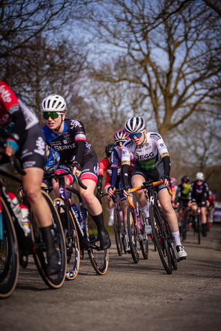 A group of cyclists riding down a path in the Netherlands.