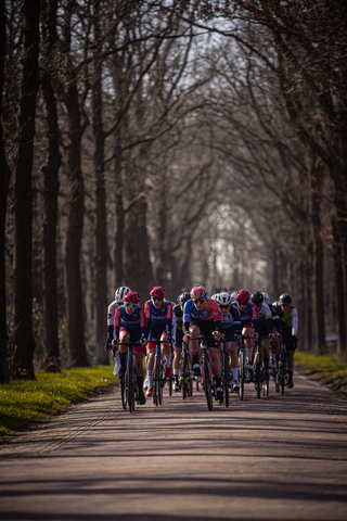 Wielrennen Drentse 8 van Westerveld cyclists ride through a tree-lined street.