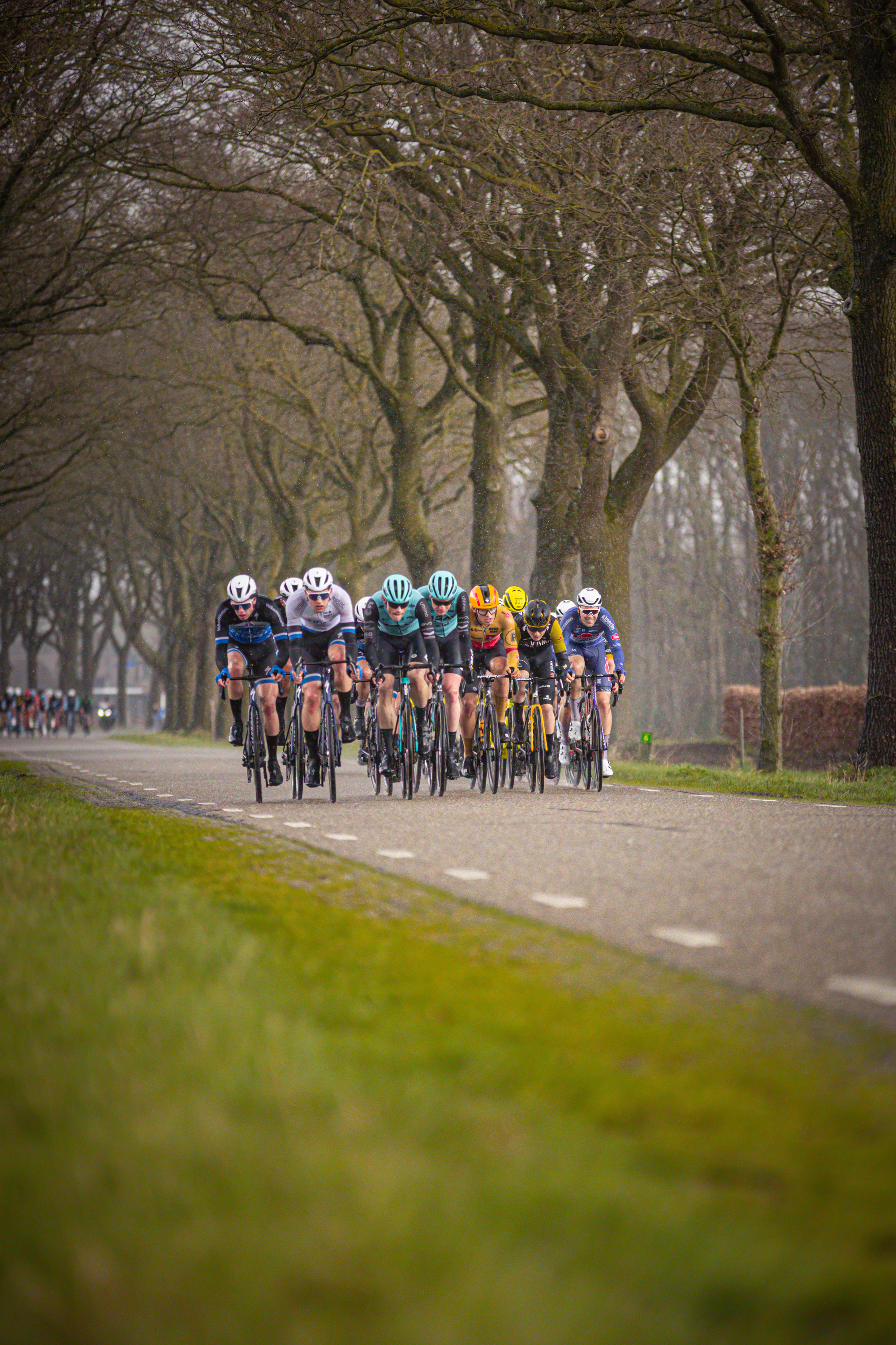 A group of cyclists race down a street, sponsored by Olympic Tour Stage 4.