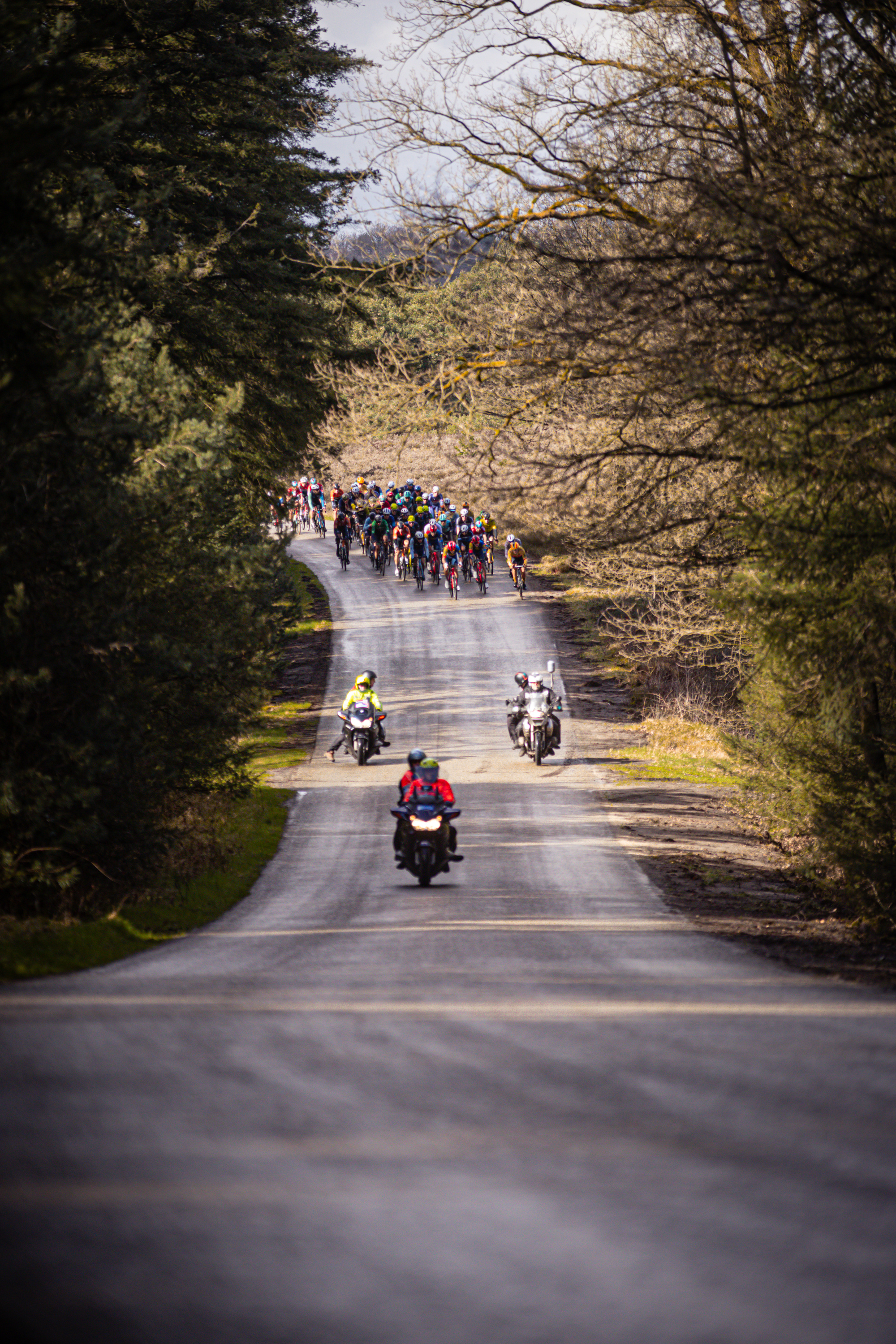 A group of cyclists are riding down a road on stage 4 of the Olympics Tour.