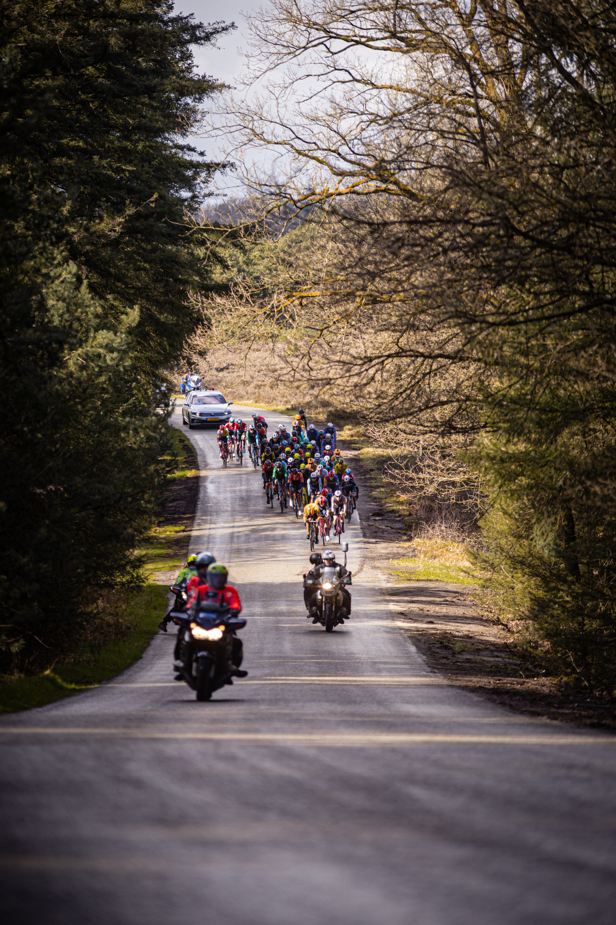 A group of cyclists are riding on a street in the 2024 Olympics.