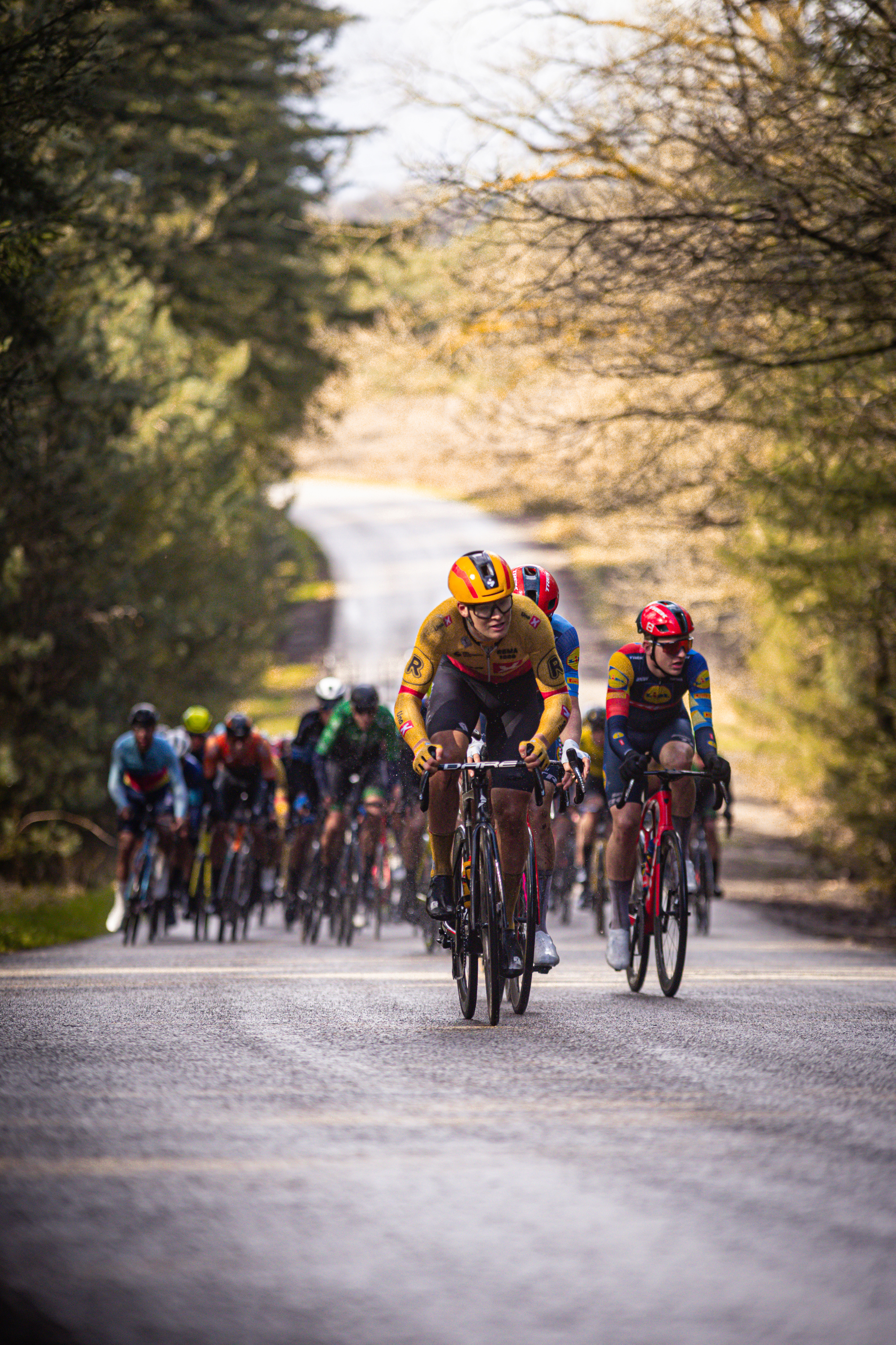 Group of cyclists racing down a street during the Tour de France.