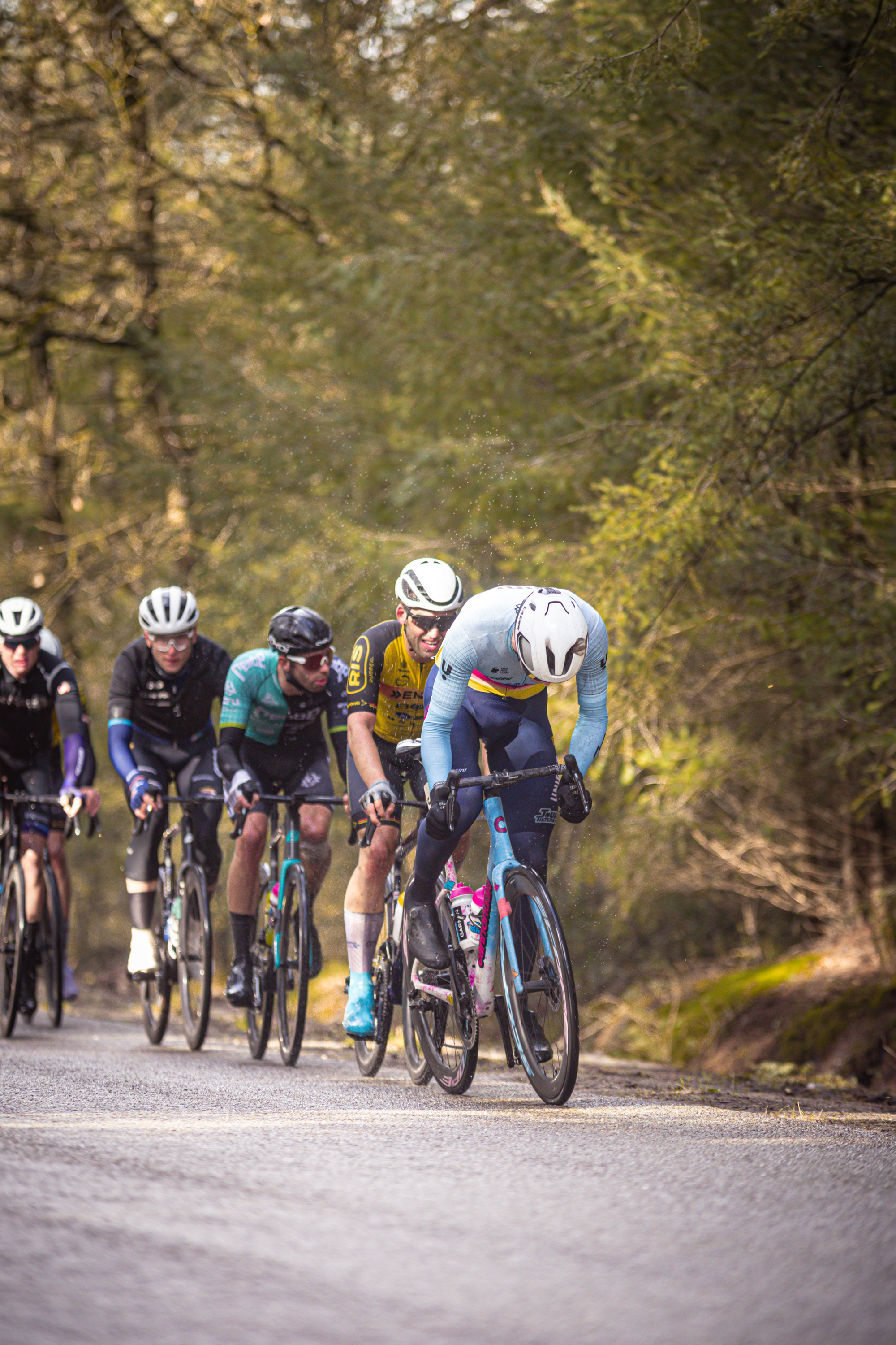 A group of cyclists race on a country road during the Tour de France.