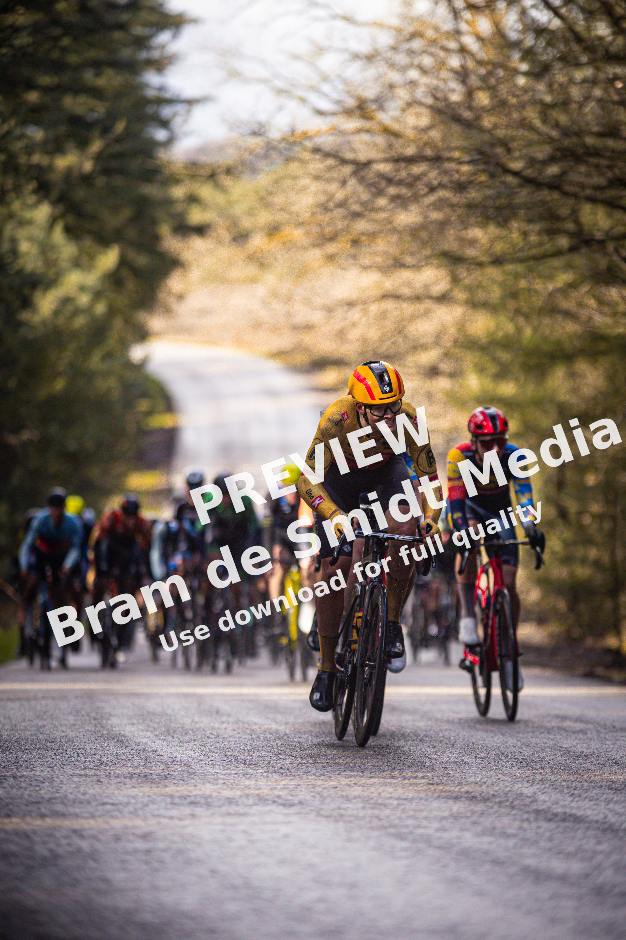 A group of cyclists race down a street during the Olympic Tour.