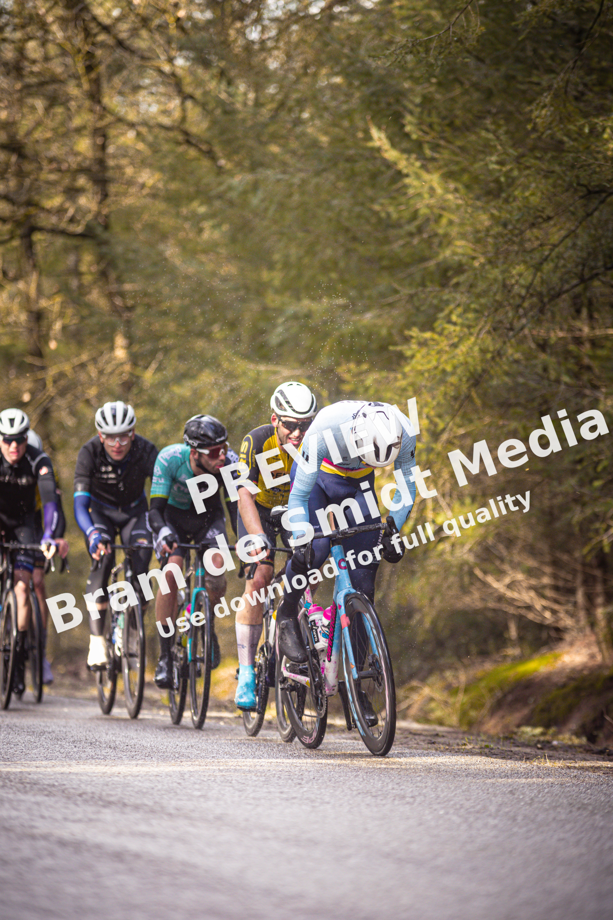 A group of cyclists race on a country road during the Tour de France.